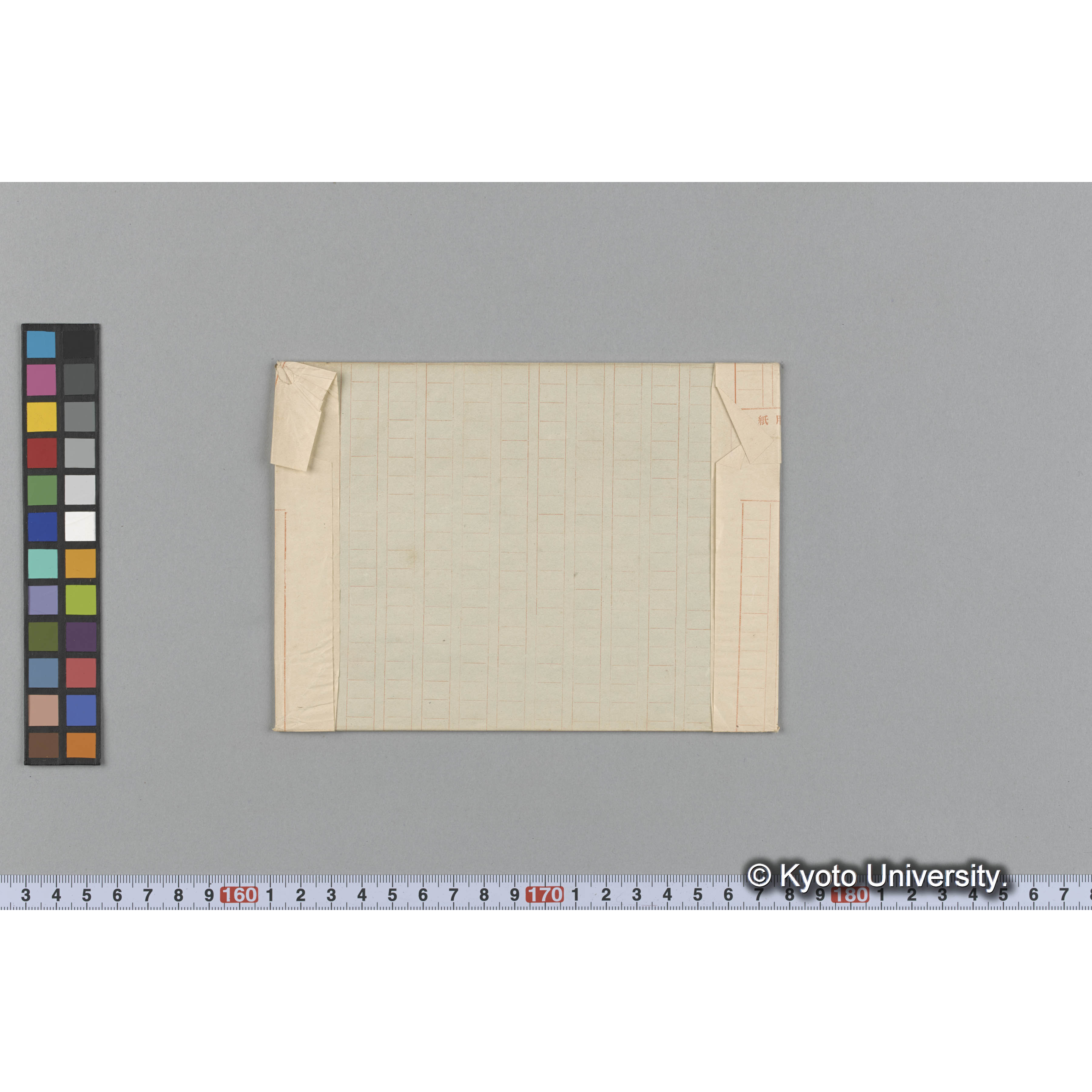 Callithamnion latissimum Harv. / Herb. Trinity College Dublin （写真帳番号 14） (2)