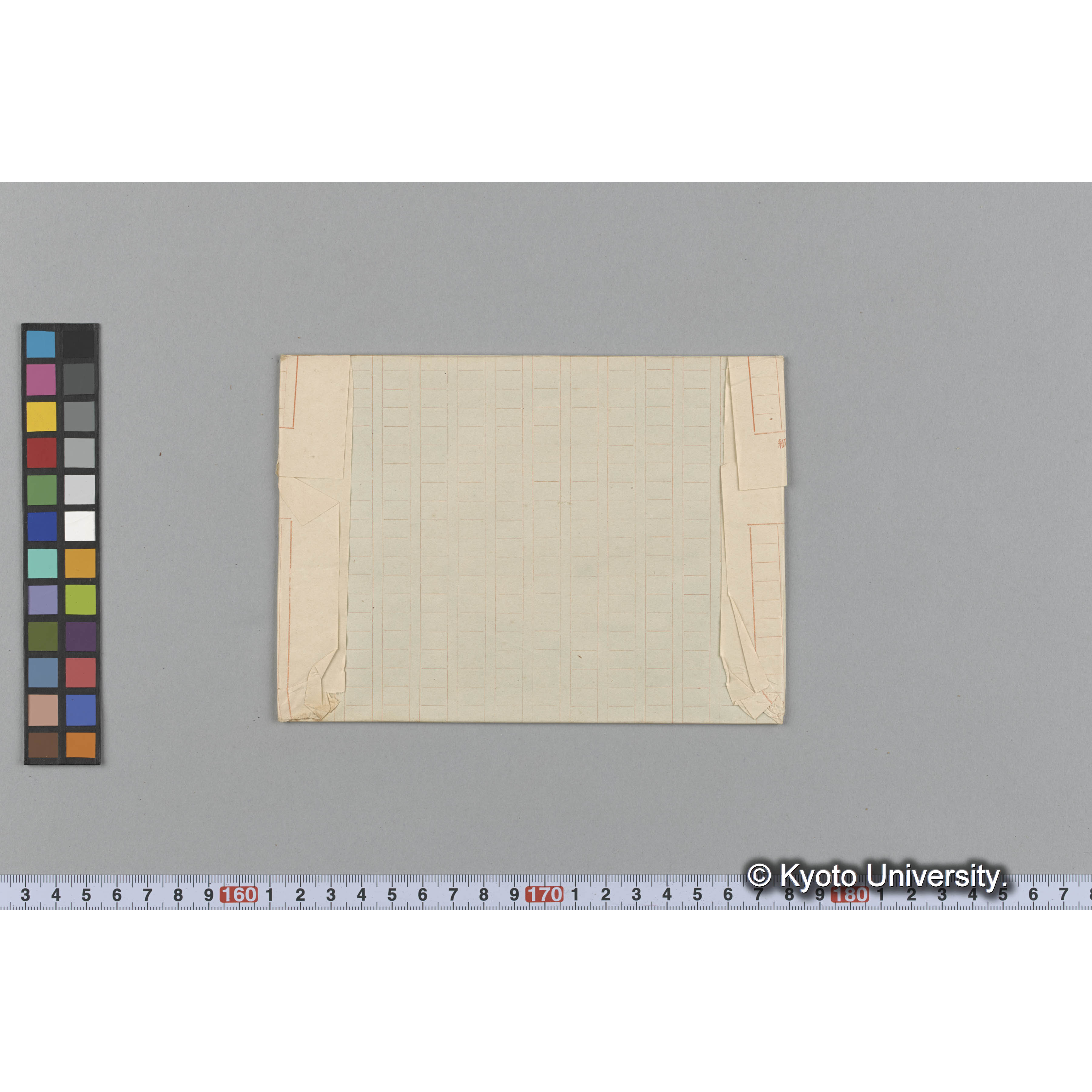 Ecklonia / Corea Hamilton Bay. / Herb. T. C. D. （写真帳番号 42） (2)