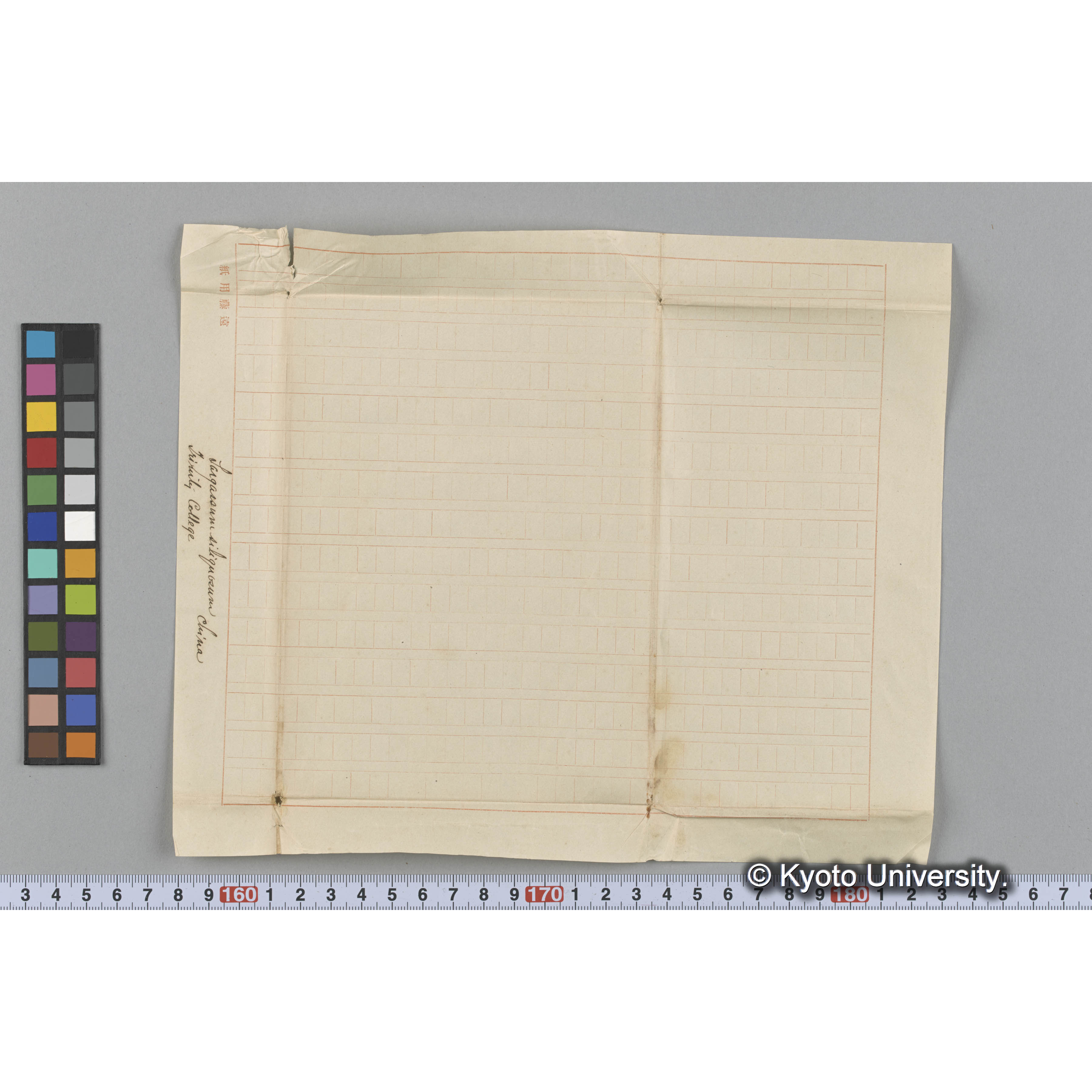 Sargassum siliquosum / Trinity College / China （写真帳番号 105） (3)