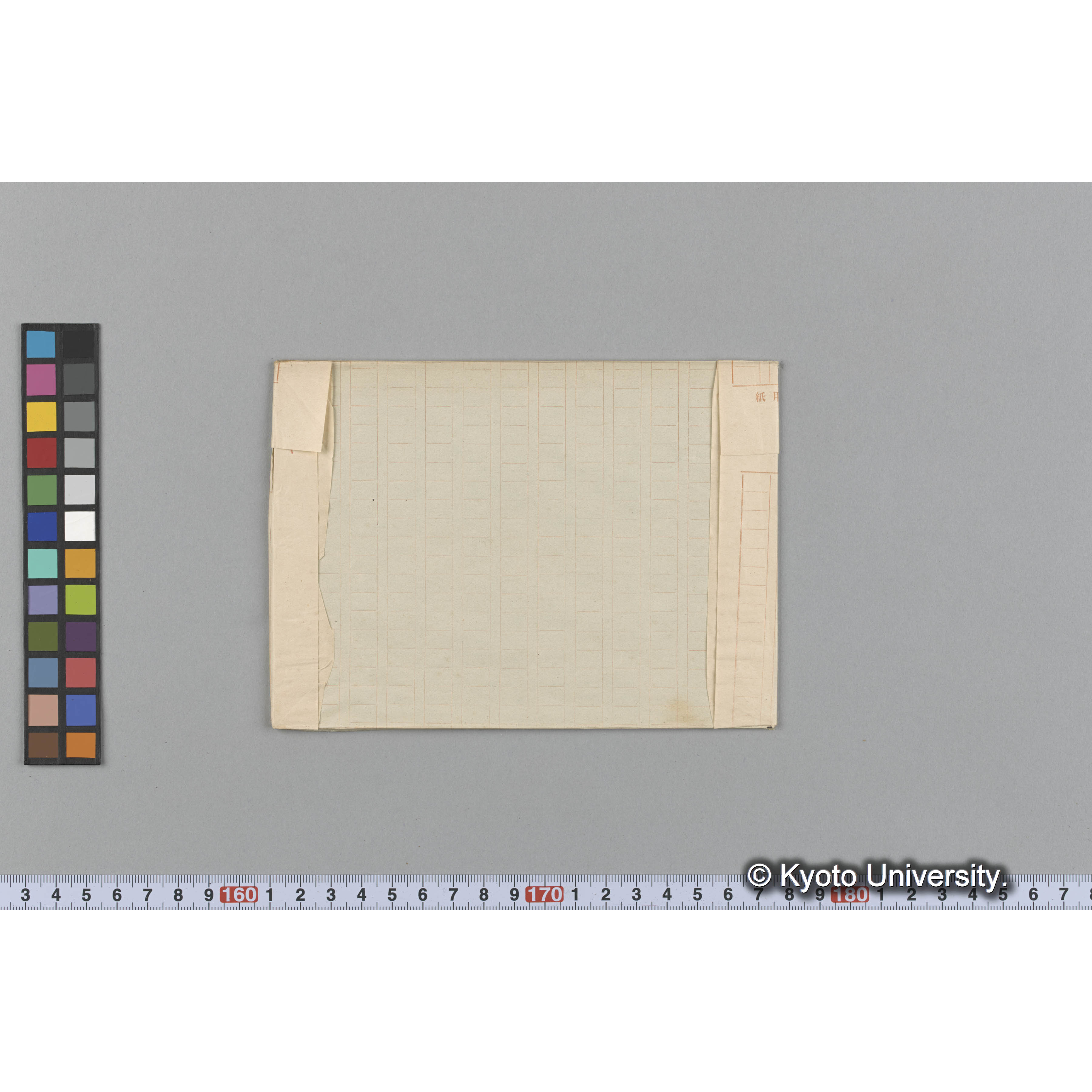 Campylaephora hypnoides / Hakodate / Herb. J. Ag. （写真帳番号 20） (2)