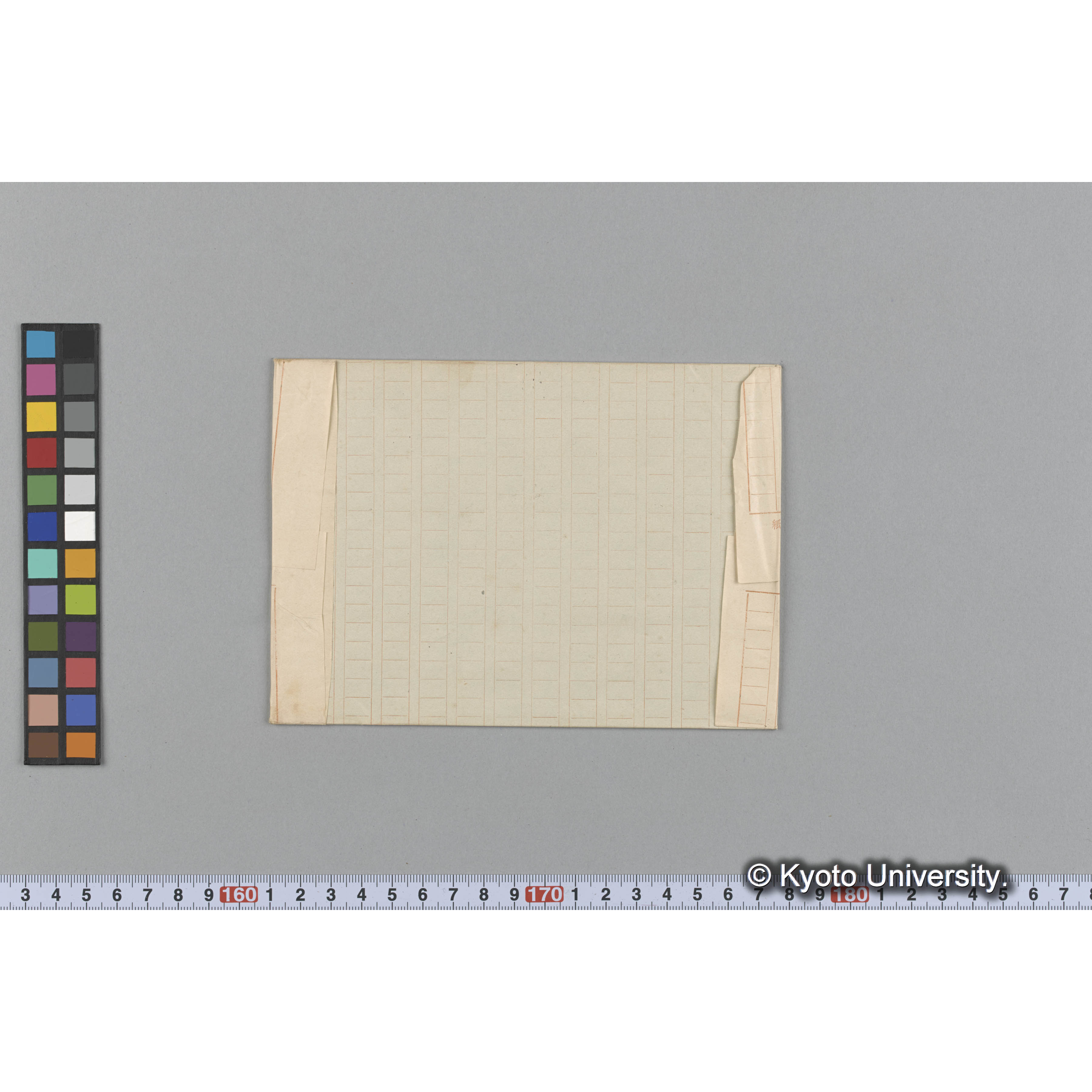 Ptilonia Australica Harv. / Herb. J. Ag. 37511 / Austr. Alg. / 244 T. （写真帳番号 95） (2)