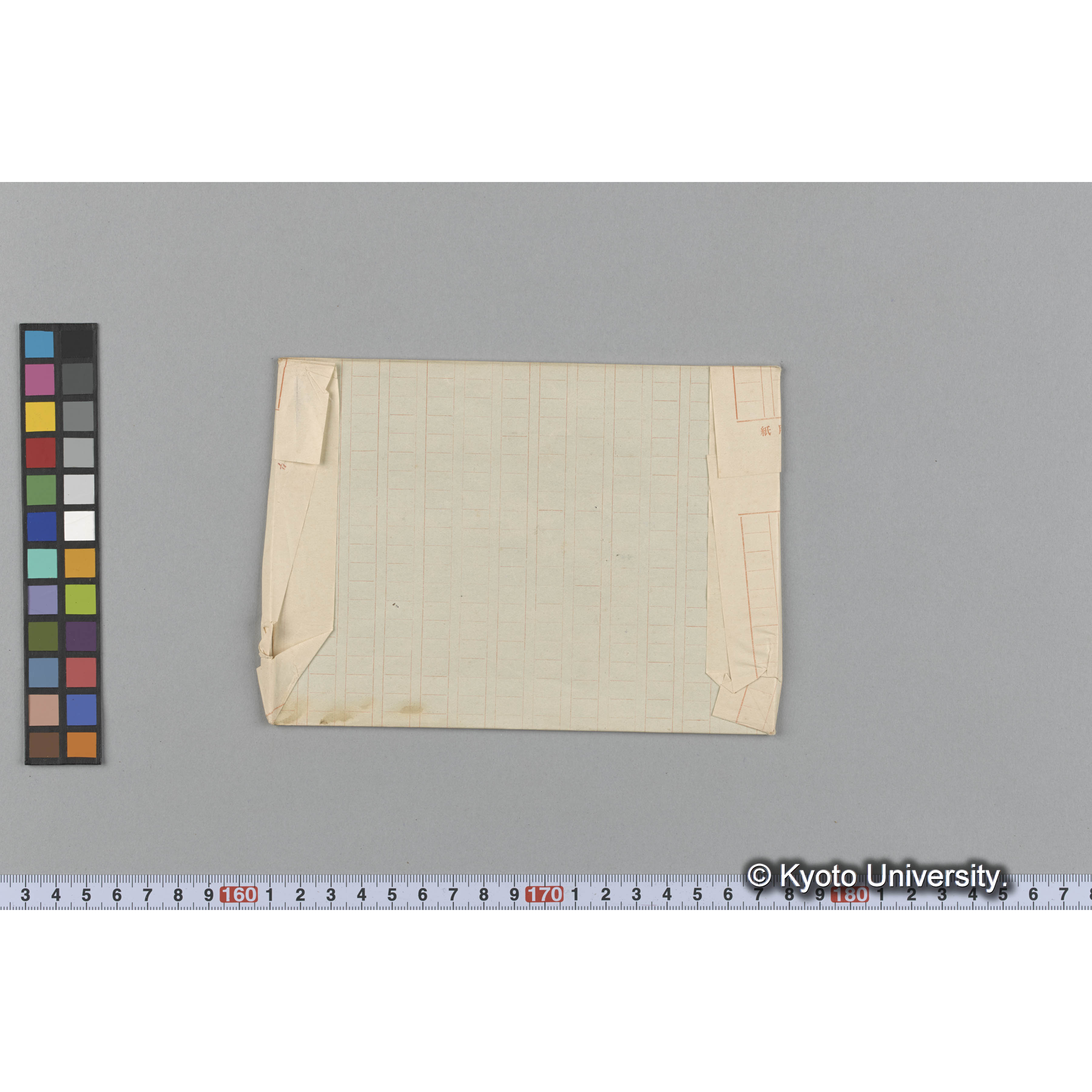 Cystoseira prolifera J. Ag. / Loochoo / Herb. Trinity Coll. （写真帳番号 39） (2)