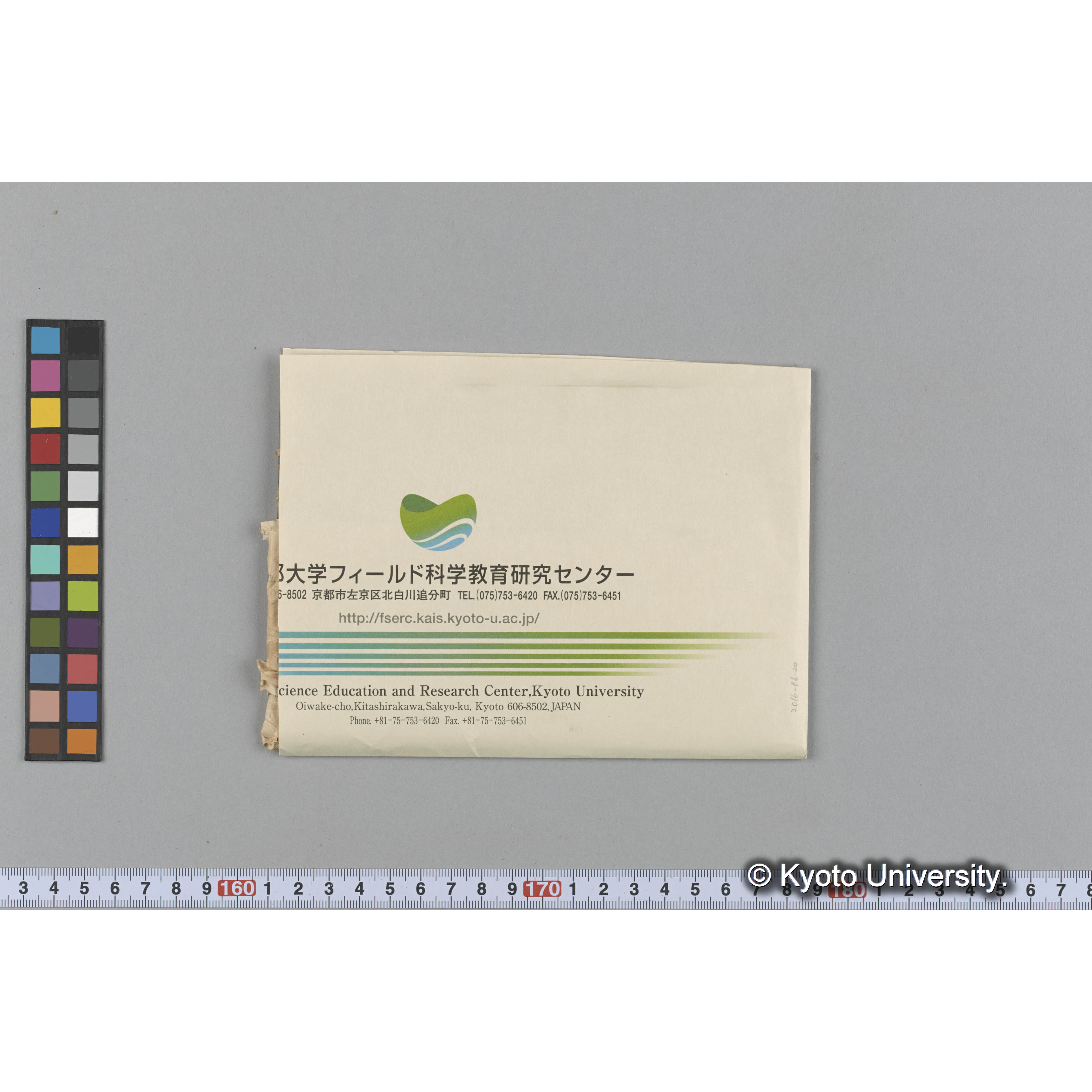 [ガラス乾板写真.](海藻標本, 包紙ペン書き「Sargassum microphylloides var.[以下難読]」「Trinity College」等.) (1)