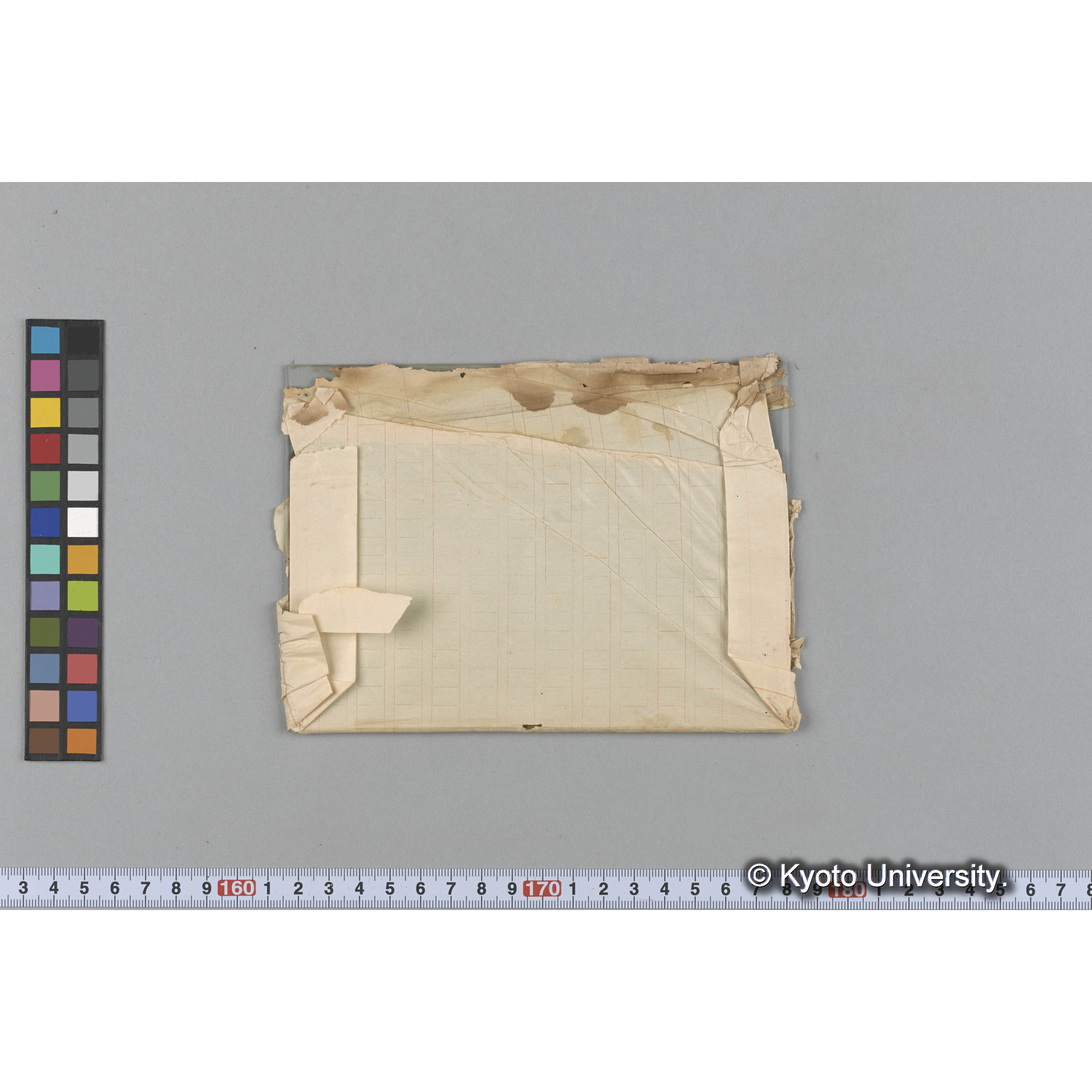 [ガラス乾板写真.](海藻標本, 包紙ペン書き「Sargassum microphylloides var.[以下難読]」「Trinity College」等.) (3)