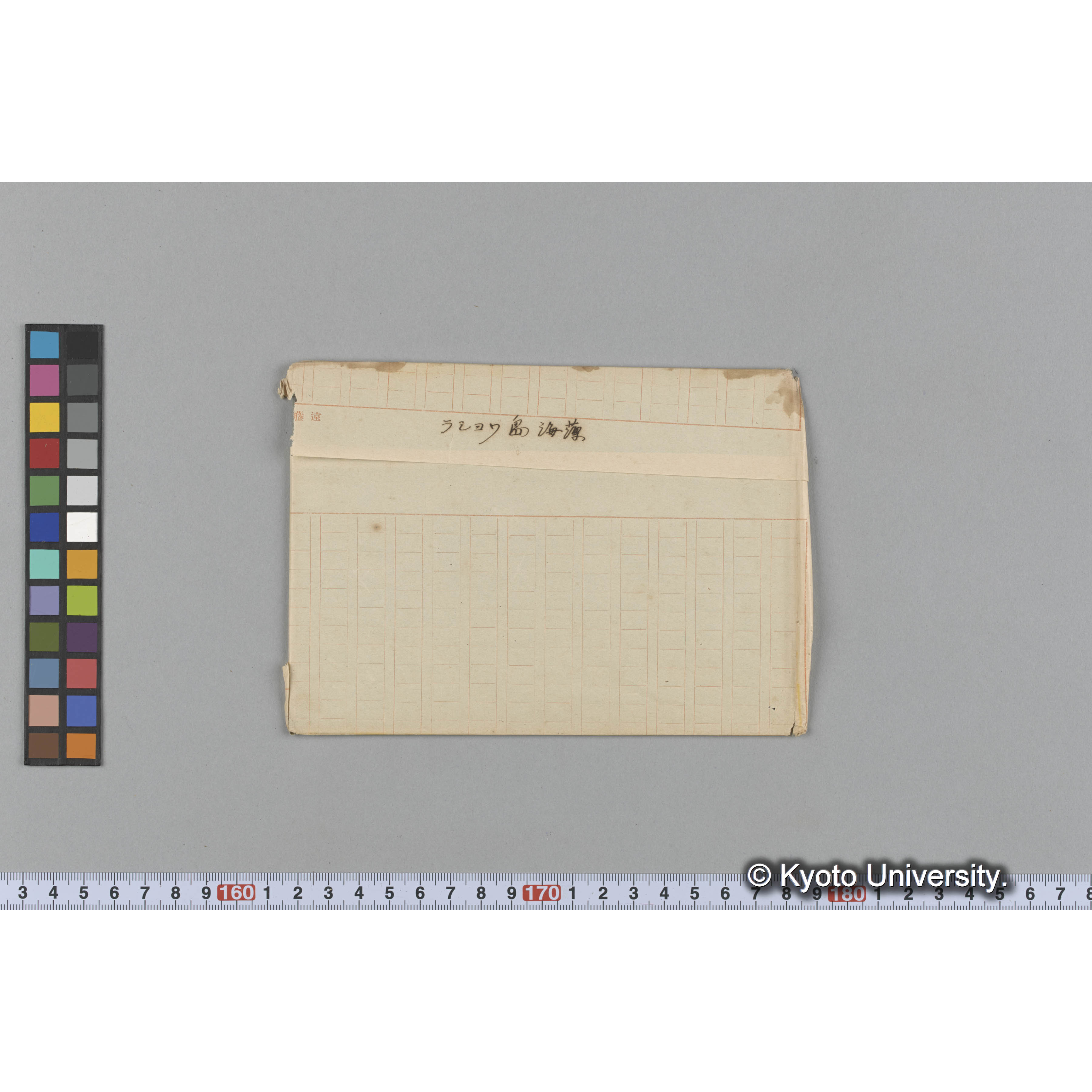 ラショワ島　海藻 (1)