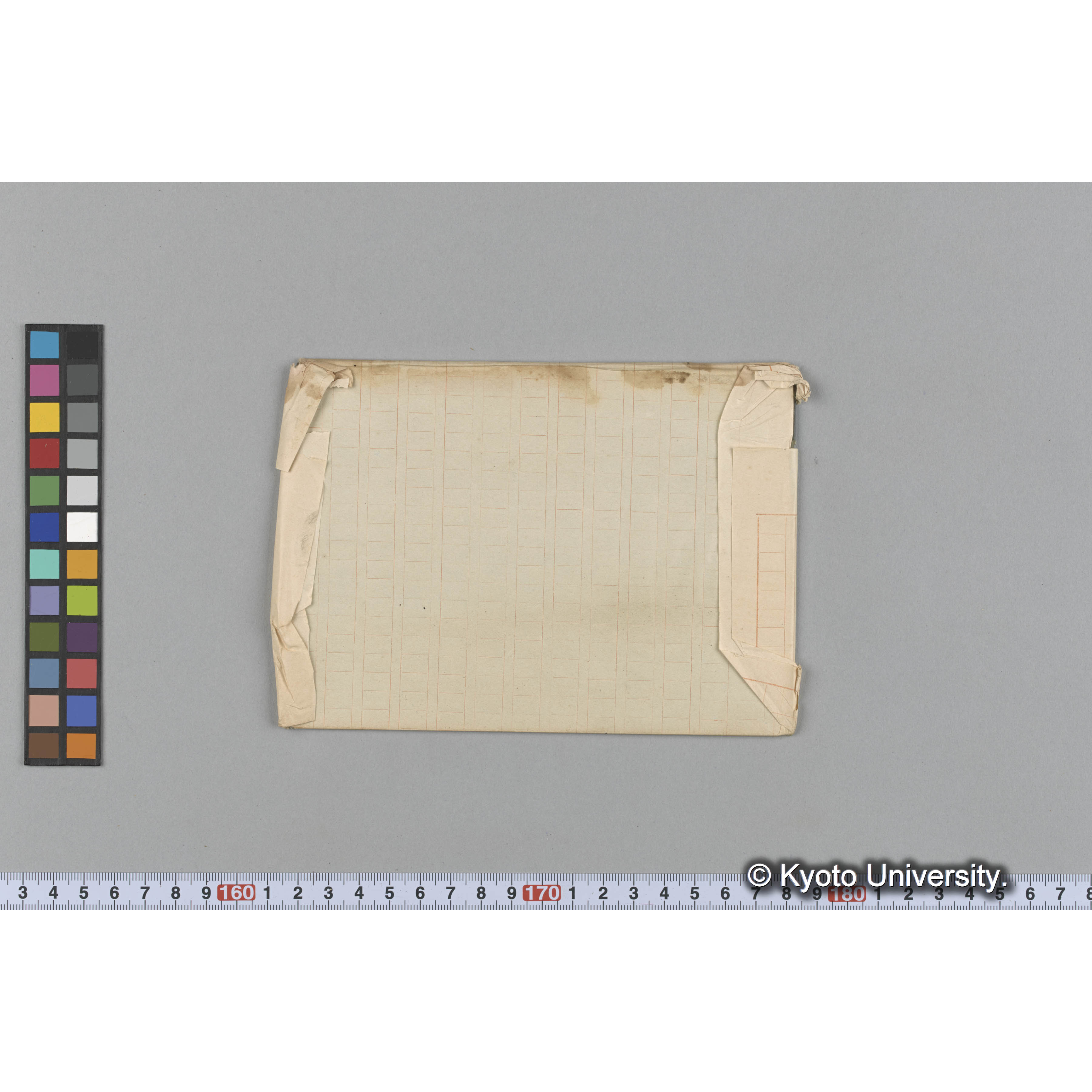 ラショワ島　海藻 (2)