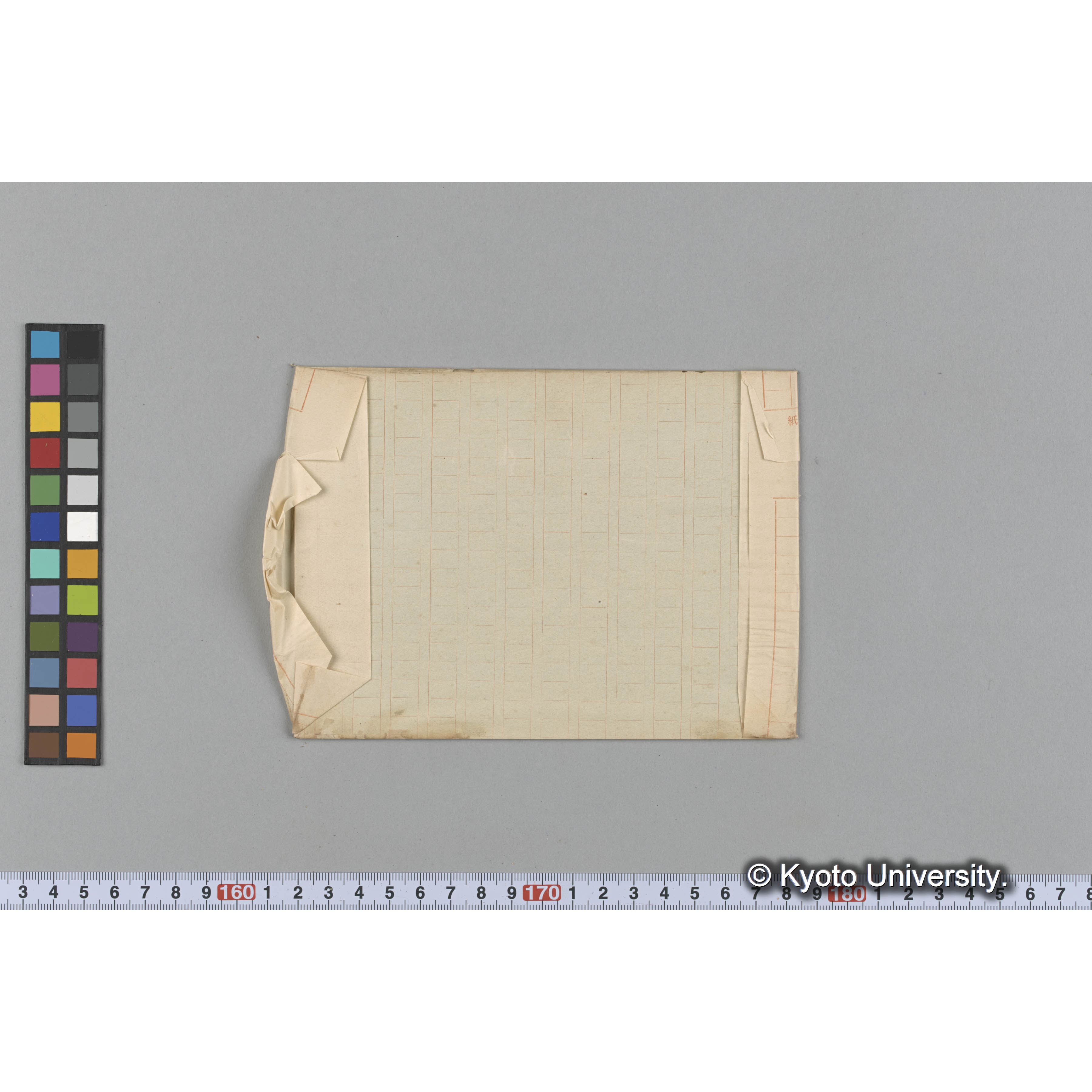 Laminaria japonica / Bryozoa on if / 海産植物 (2)