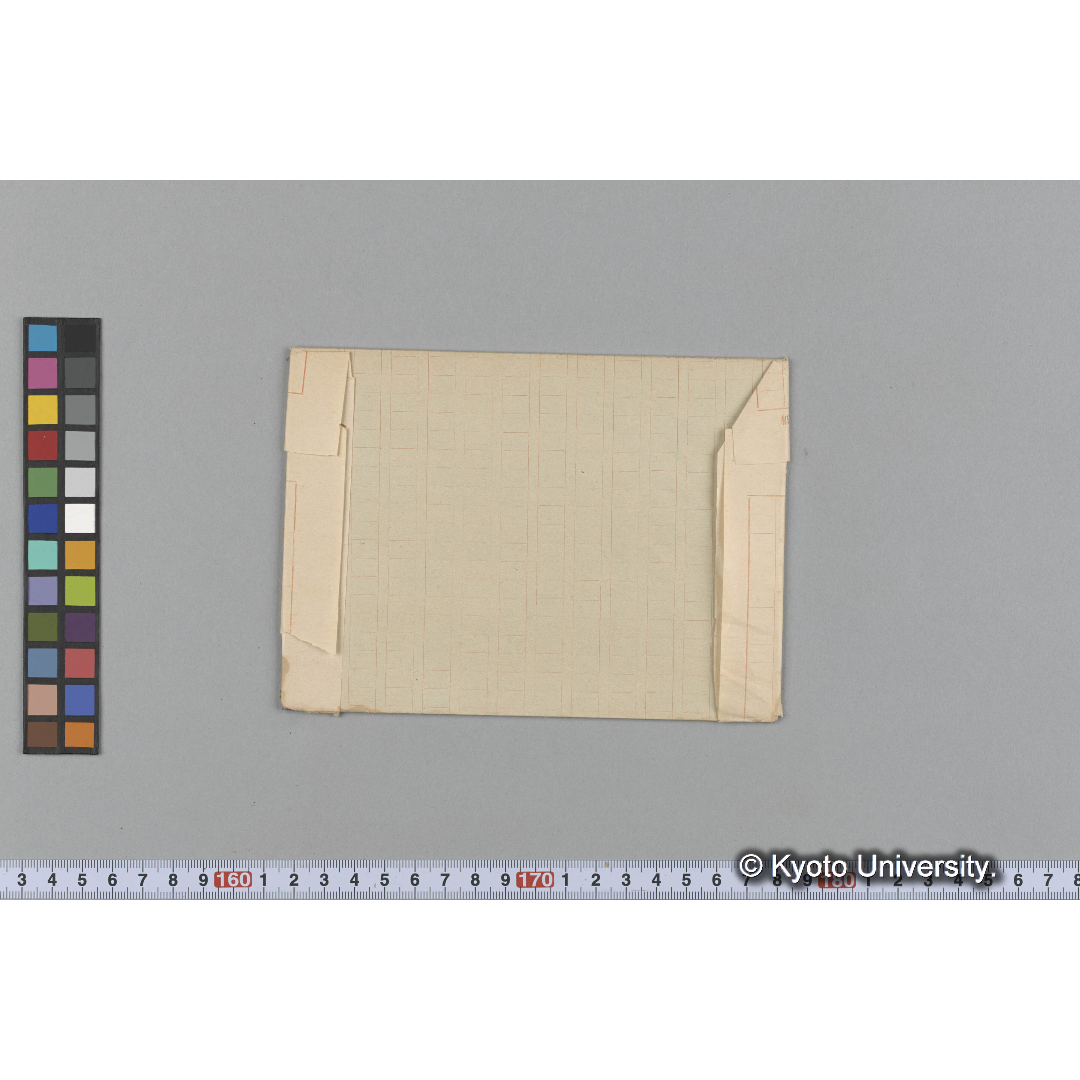 Kjellmaniella crassa / Muroran / April 1917 (2)