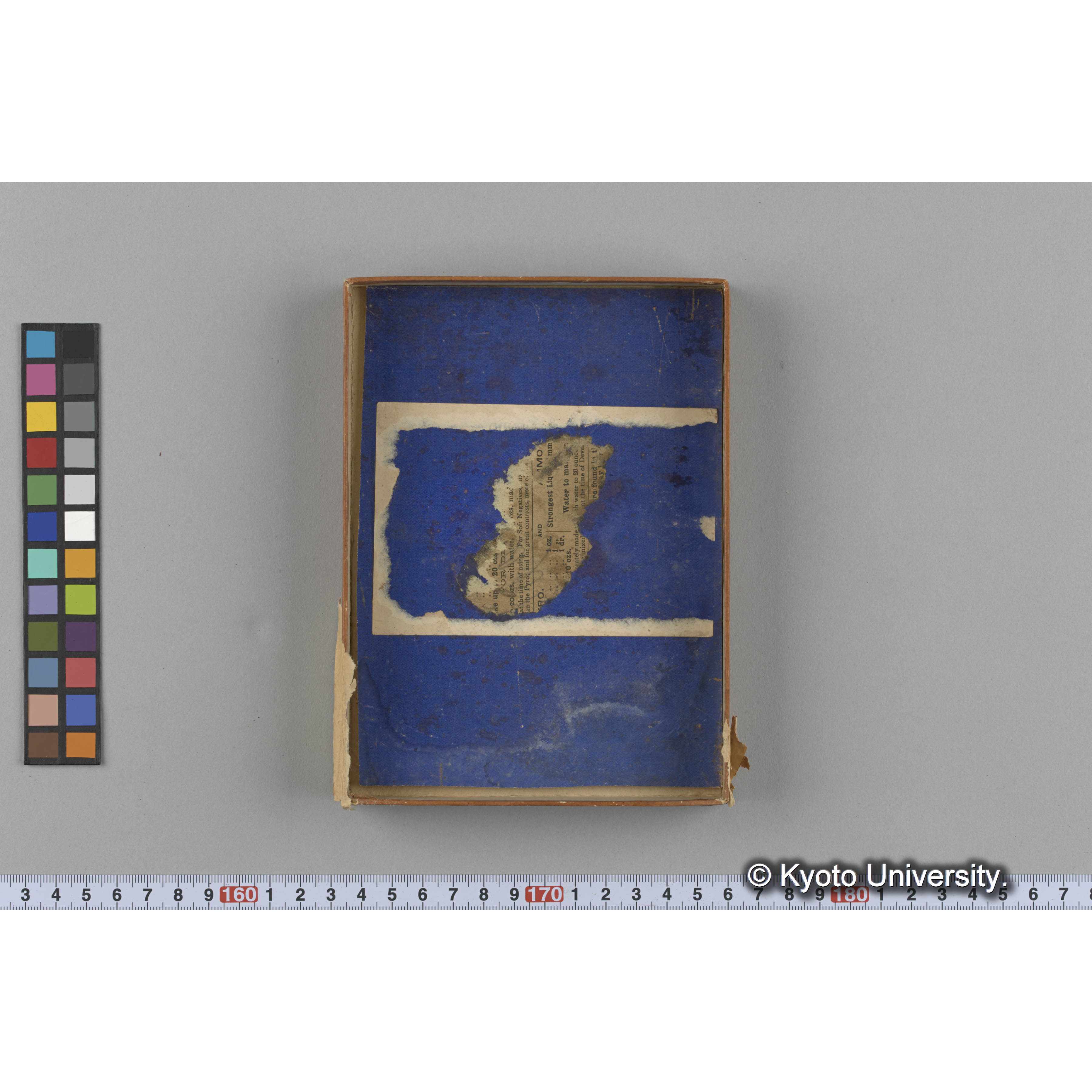 [ガラス乾板収納箱9.]algae, 原板12 (3)