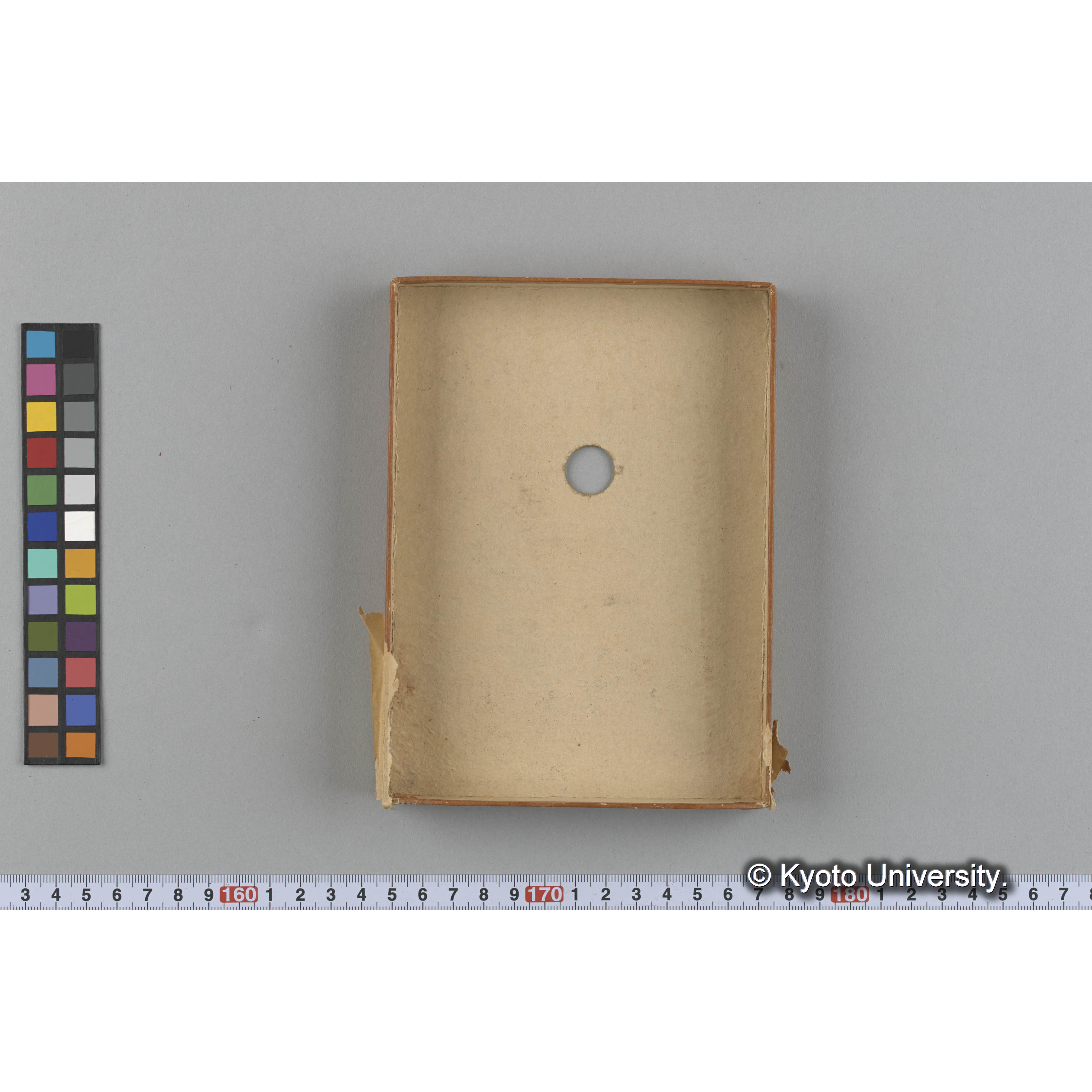 [ガラス乾板収納箱9.]algae, 原板12 (4)