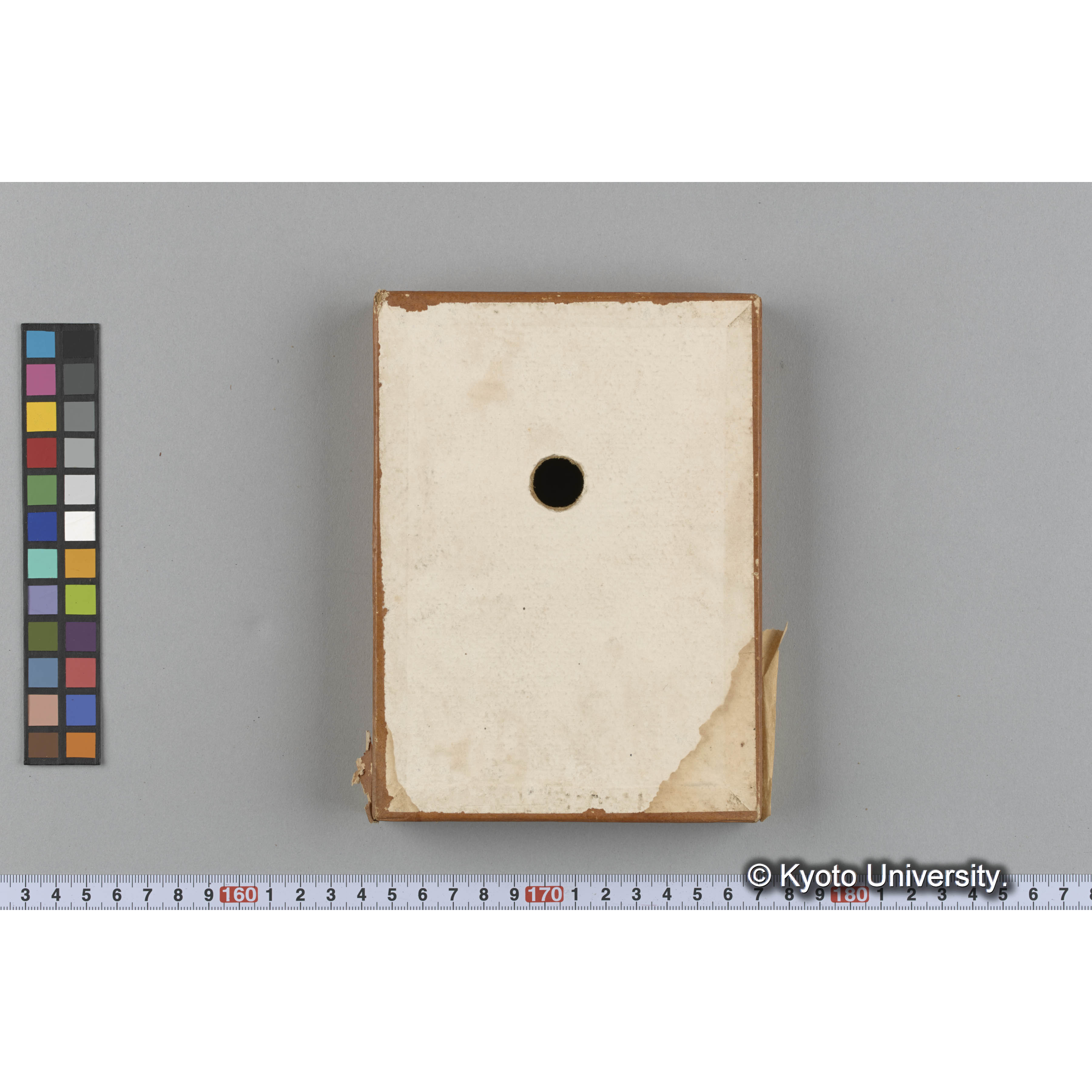 [ガラス乾板収納箱9.]algae, 原板12 (5)