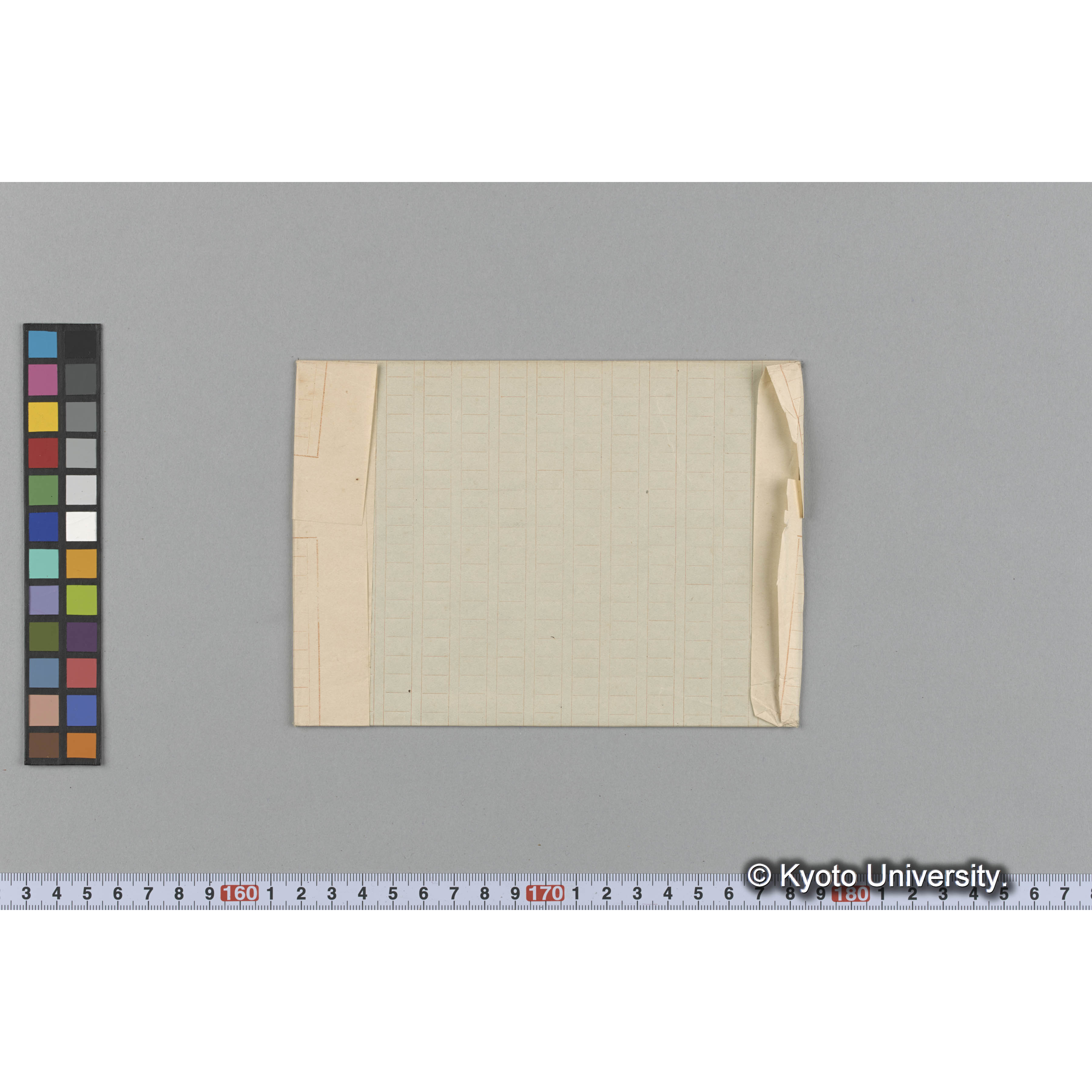 Laurencia arbuscula / Herb. J. Ag. 36557 / Harv. Friendly Algae. （写真帳番号 78） (2)