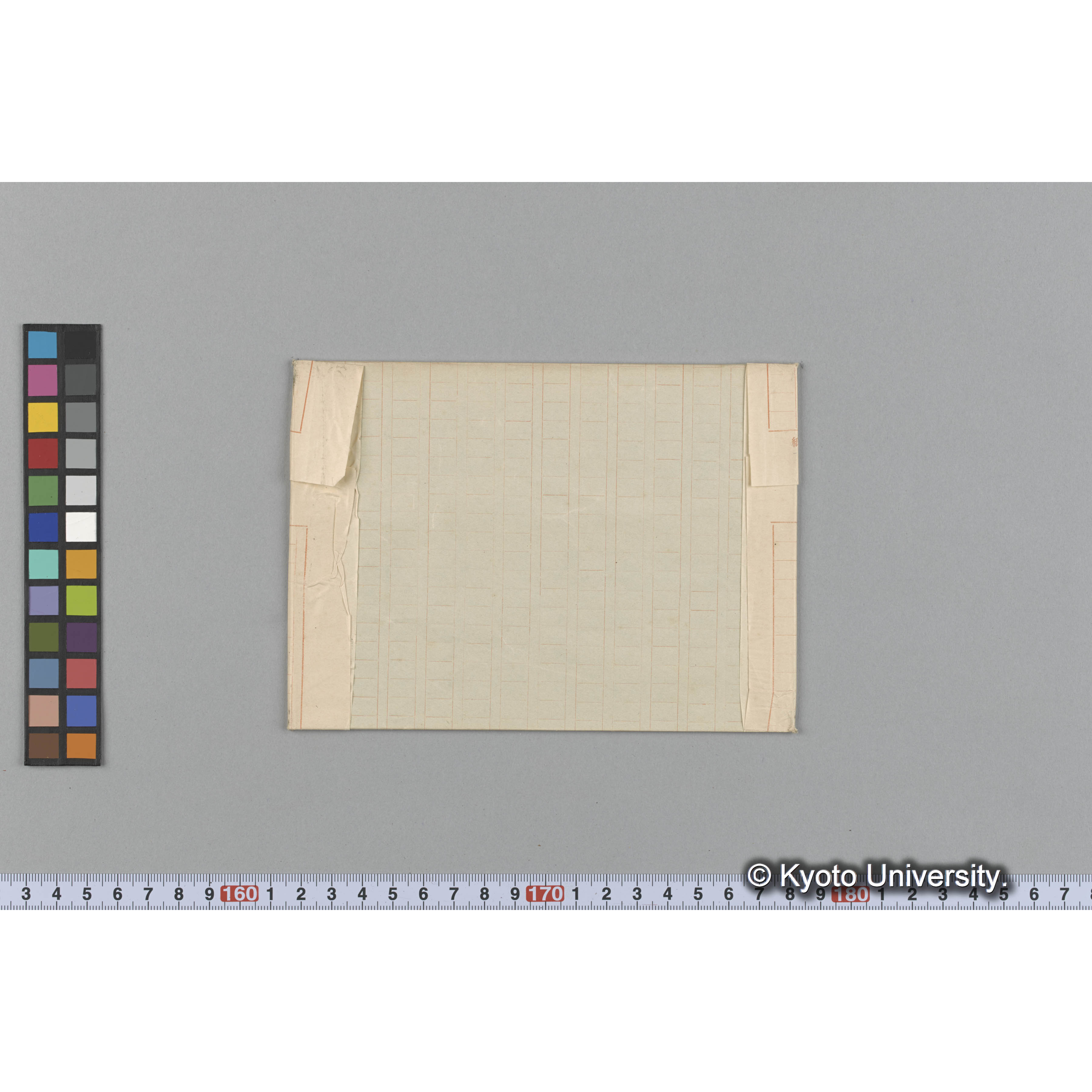 "Genus dubium" Trinity College. Hakodate 外. p.1722 （写真帳番号 46） (2)