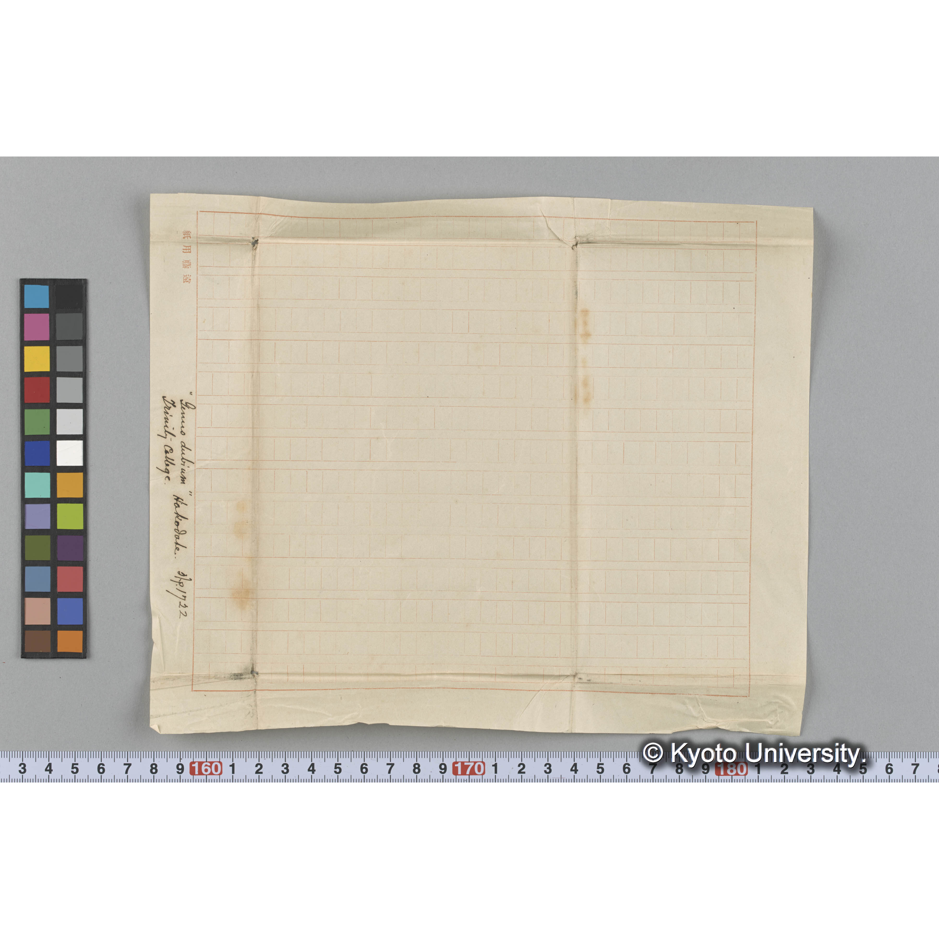 "Genus dubium" Trinity College. Hakodate 外. p.1722 （写真帳番号 46） (3)