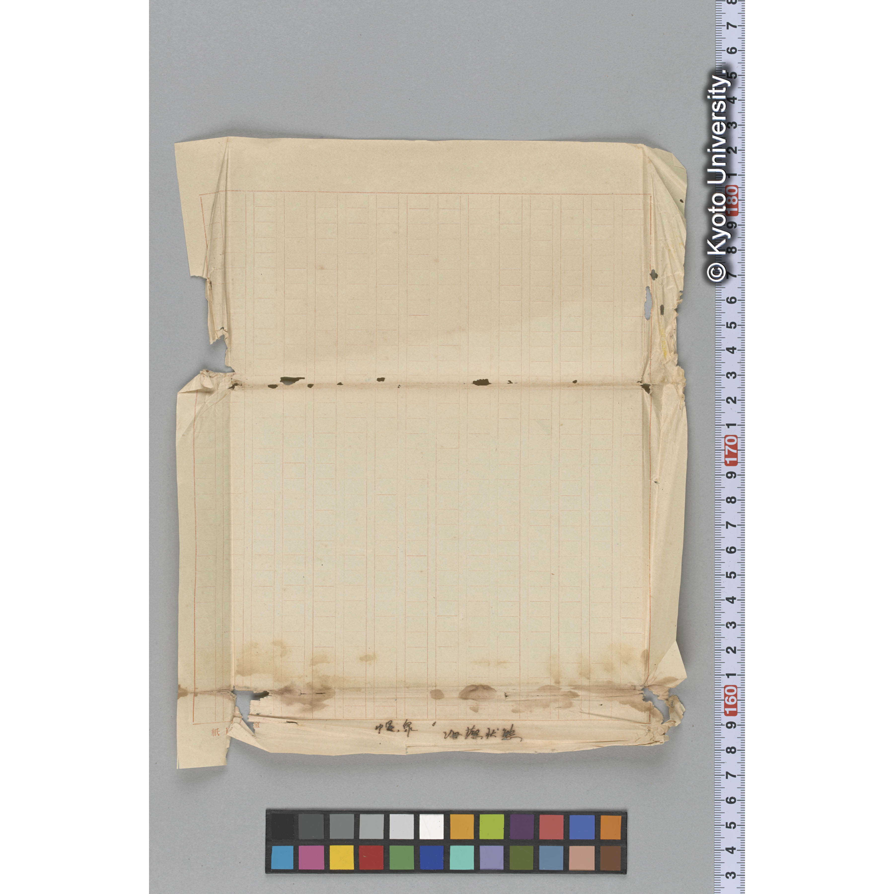 幌、泉　海藻状態 (3)