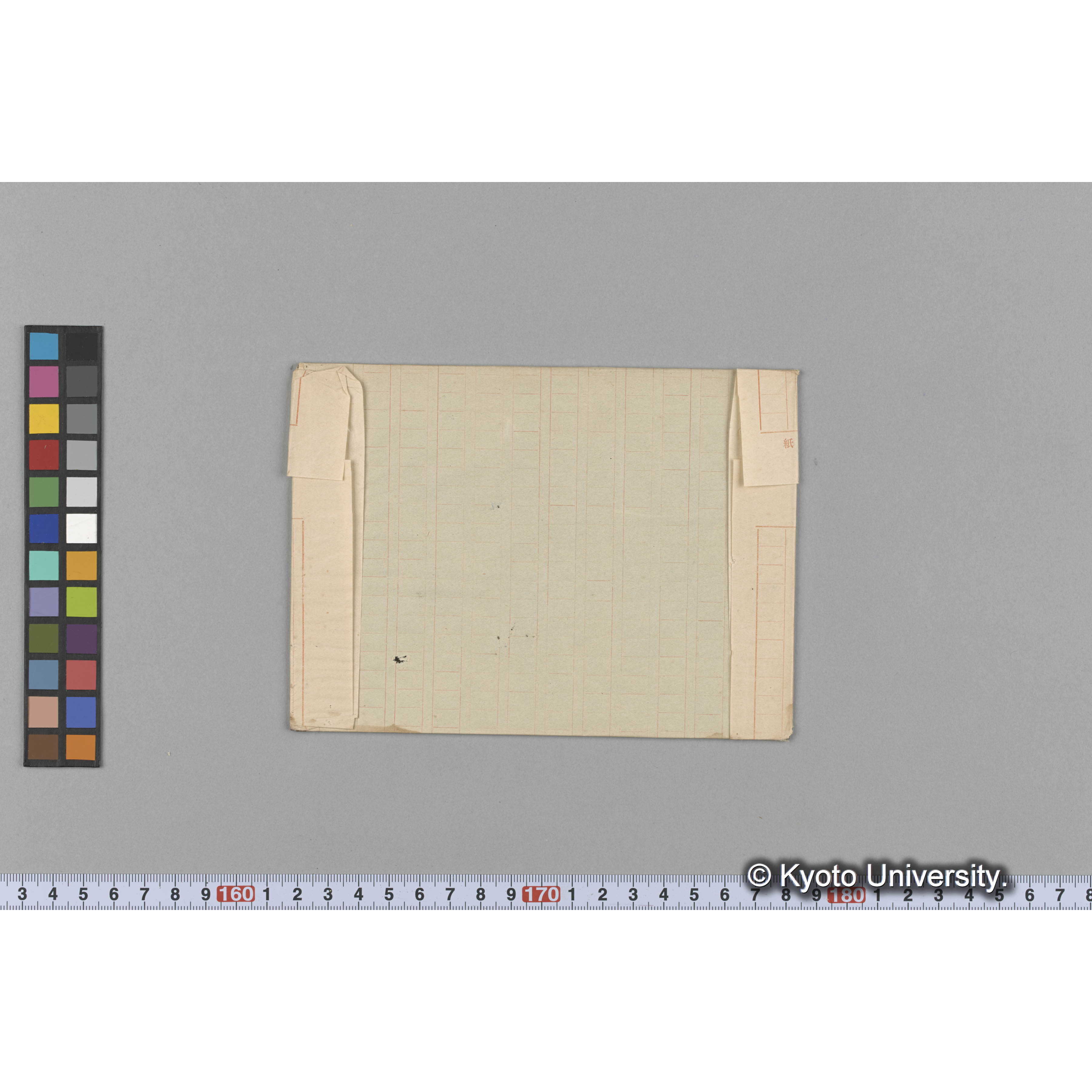 Halosaccion saccatum / 占守 (2)