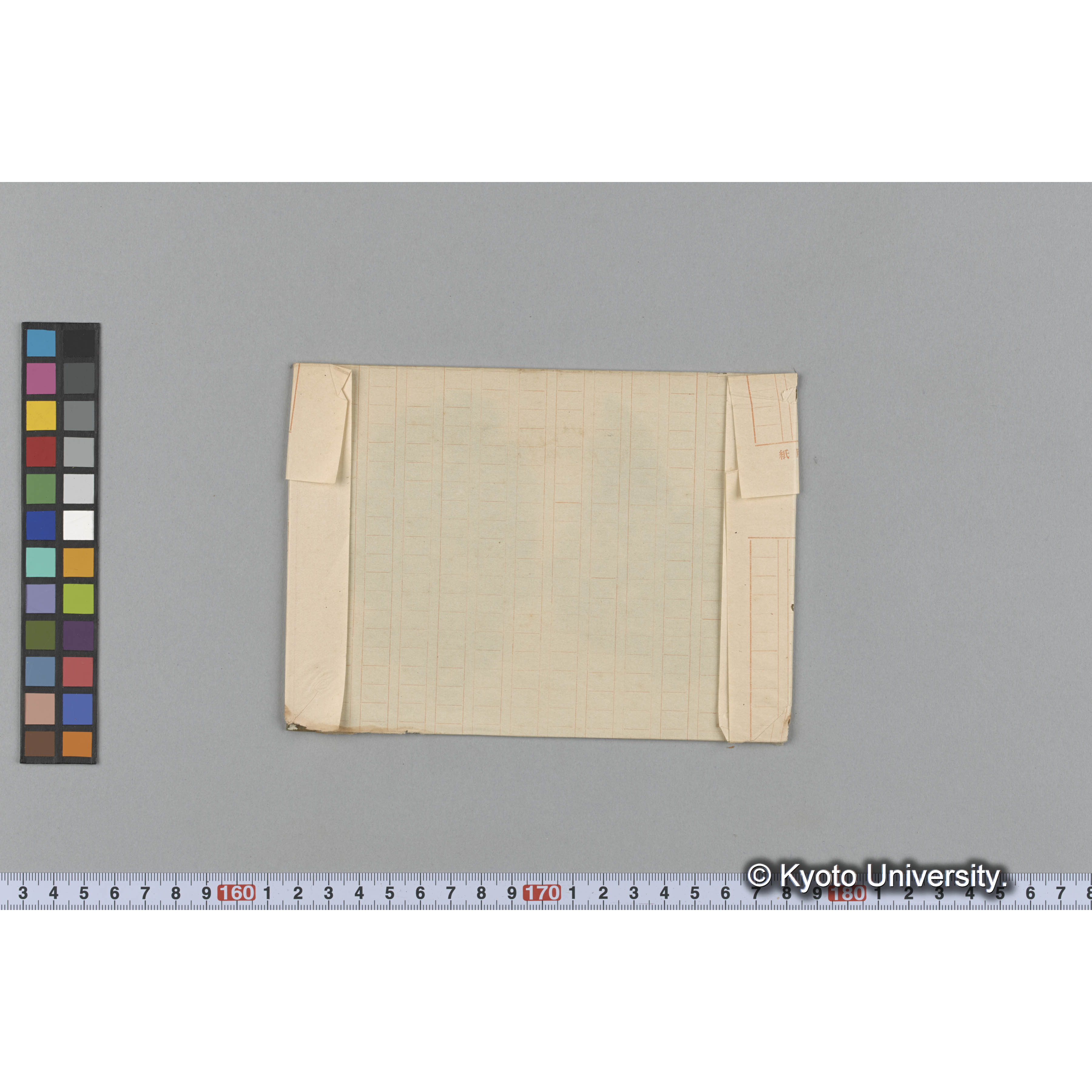 Cheilosporum frondesceus / Port Renfrew (2)