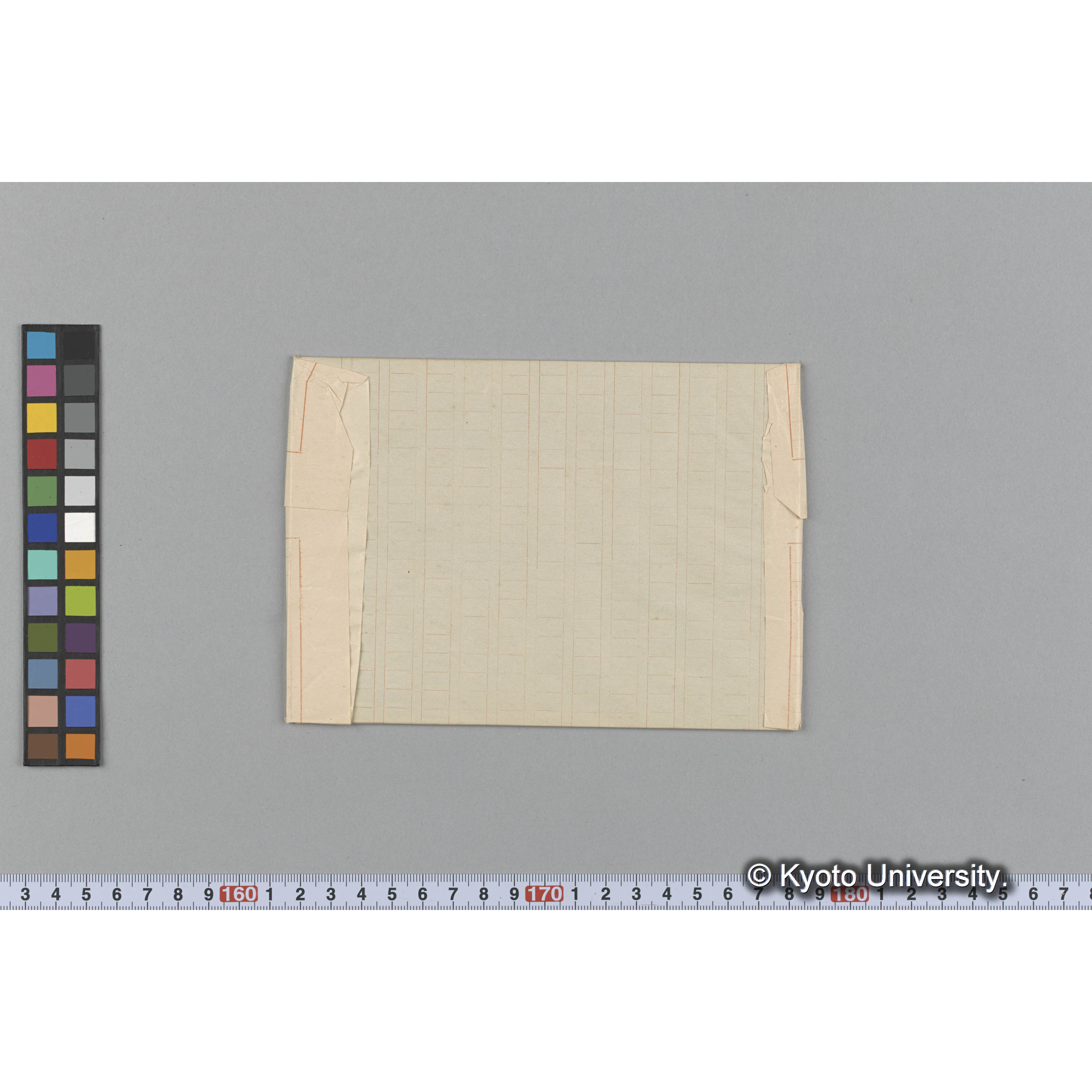 Eudosira australis / Herb. J. Ag. 32218 （写真帳番号 45） (2)