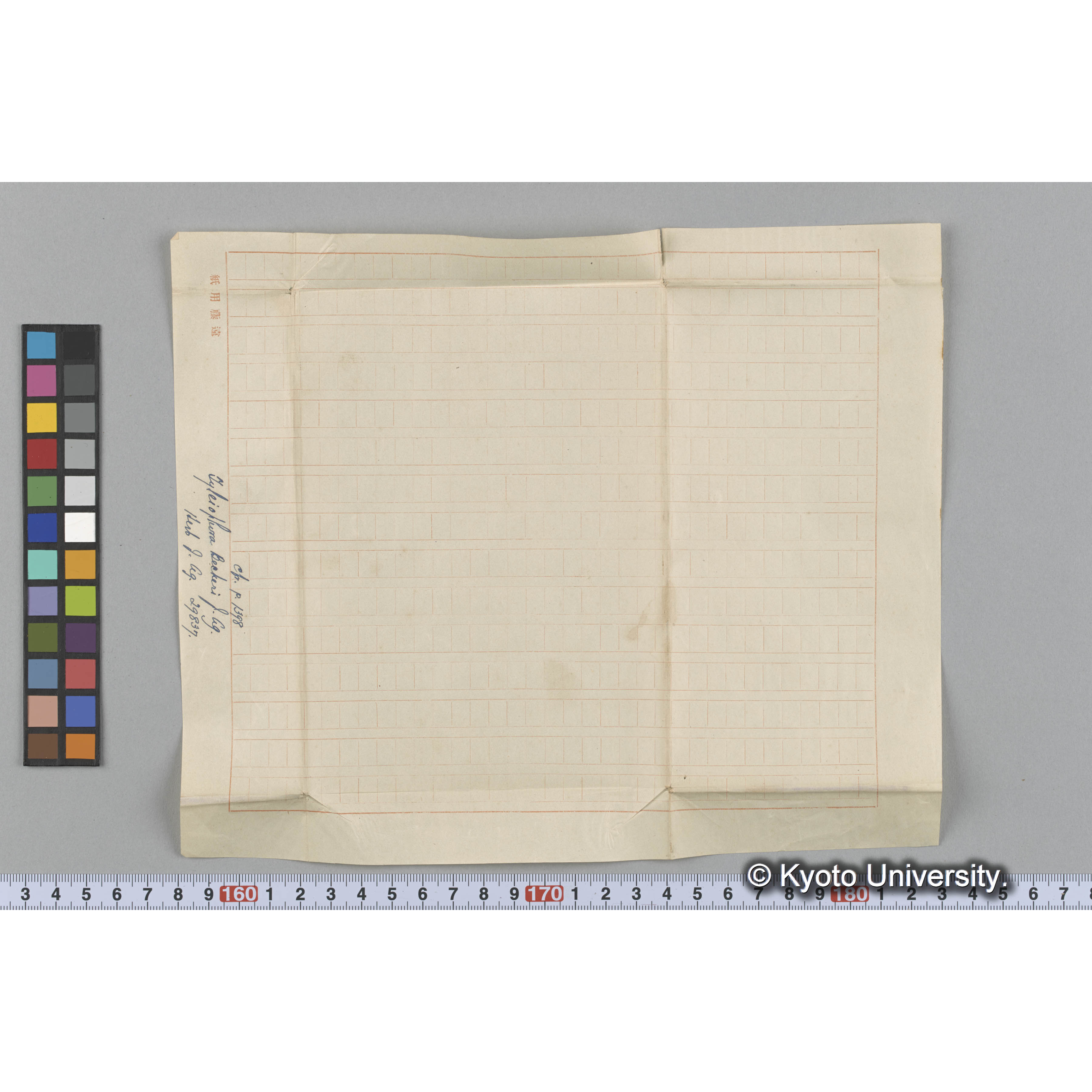 Tyleiophora Becheri J. Ag. / c fr. p.1398 / Herb. J. Ag. 29837 （写真帳番号 112） (3)