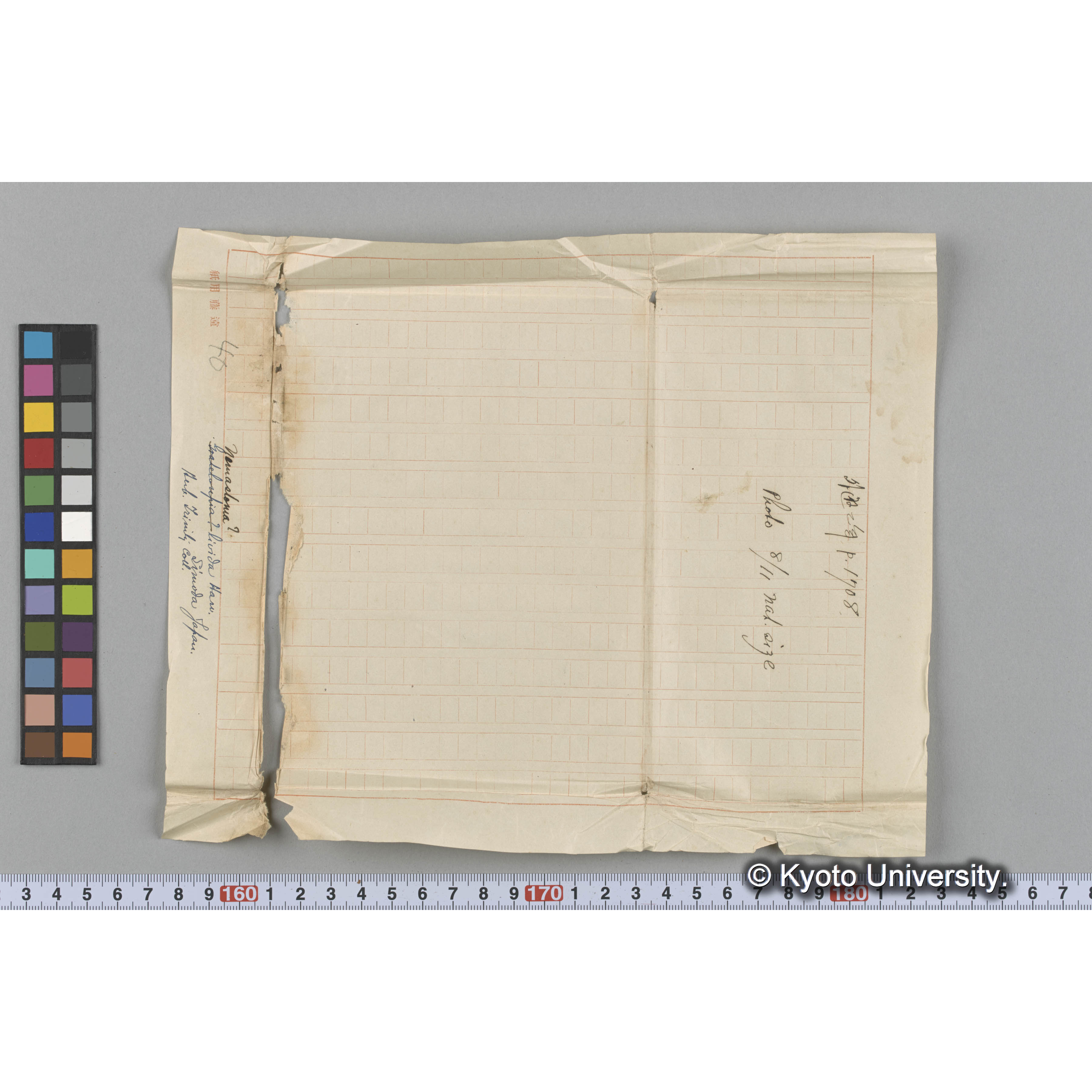 Nemastoma? livida Harv. / Shimoda, Japan. / Herb. Trinity Coll. / 外遊二年 p.1708 / Photo. 8/11 nat. size （写真帳番号 91） (3)