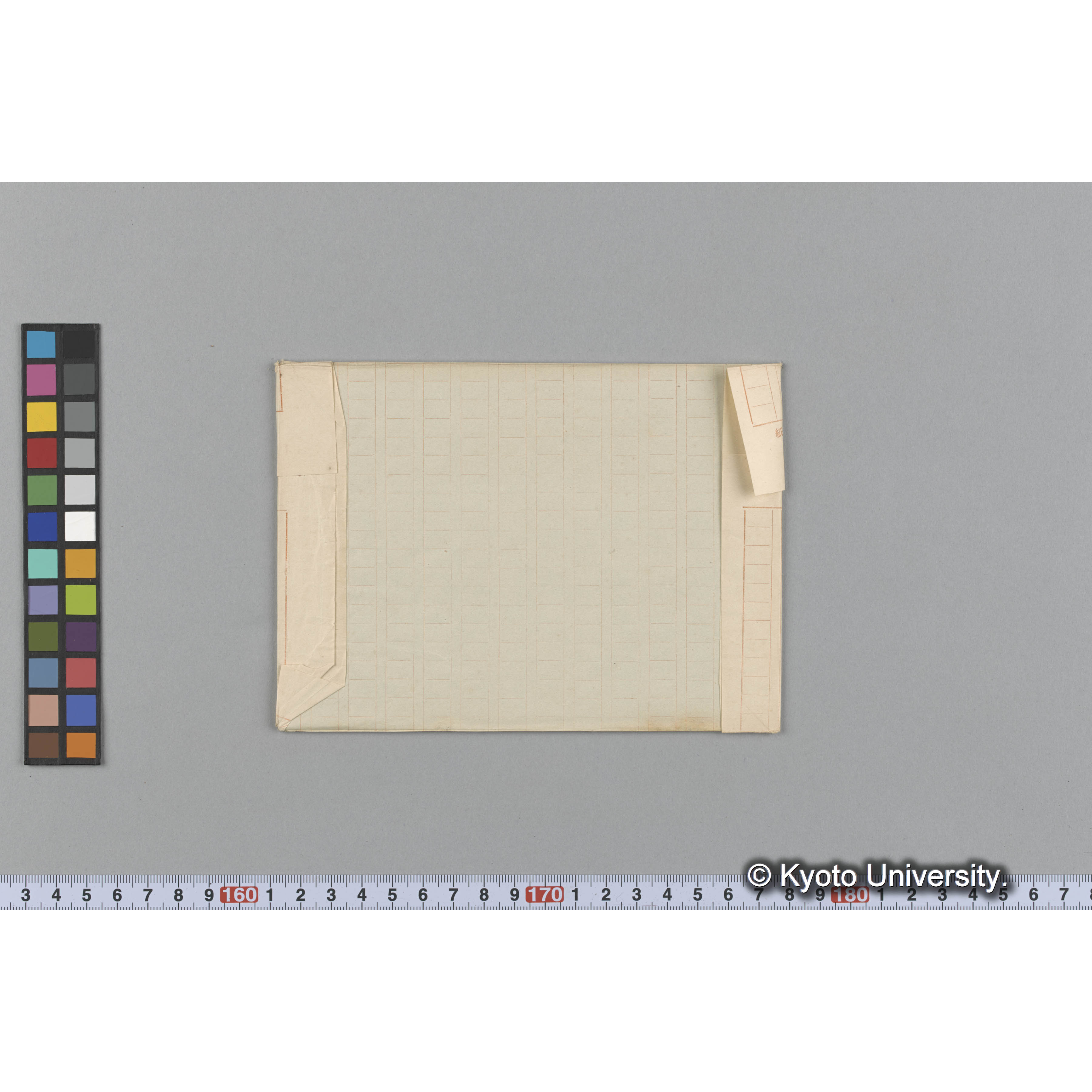 Campylaephora hypnoides / Hakodate / Herb. J. Ag. （写真帳番号 19） (2)