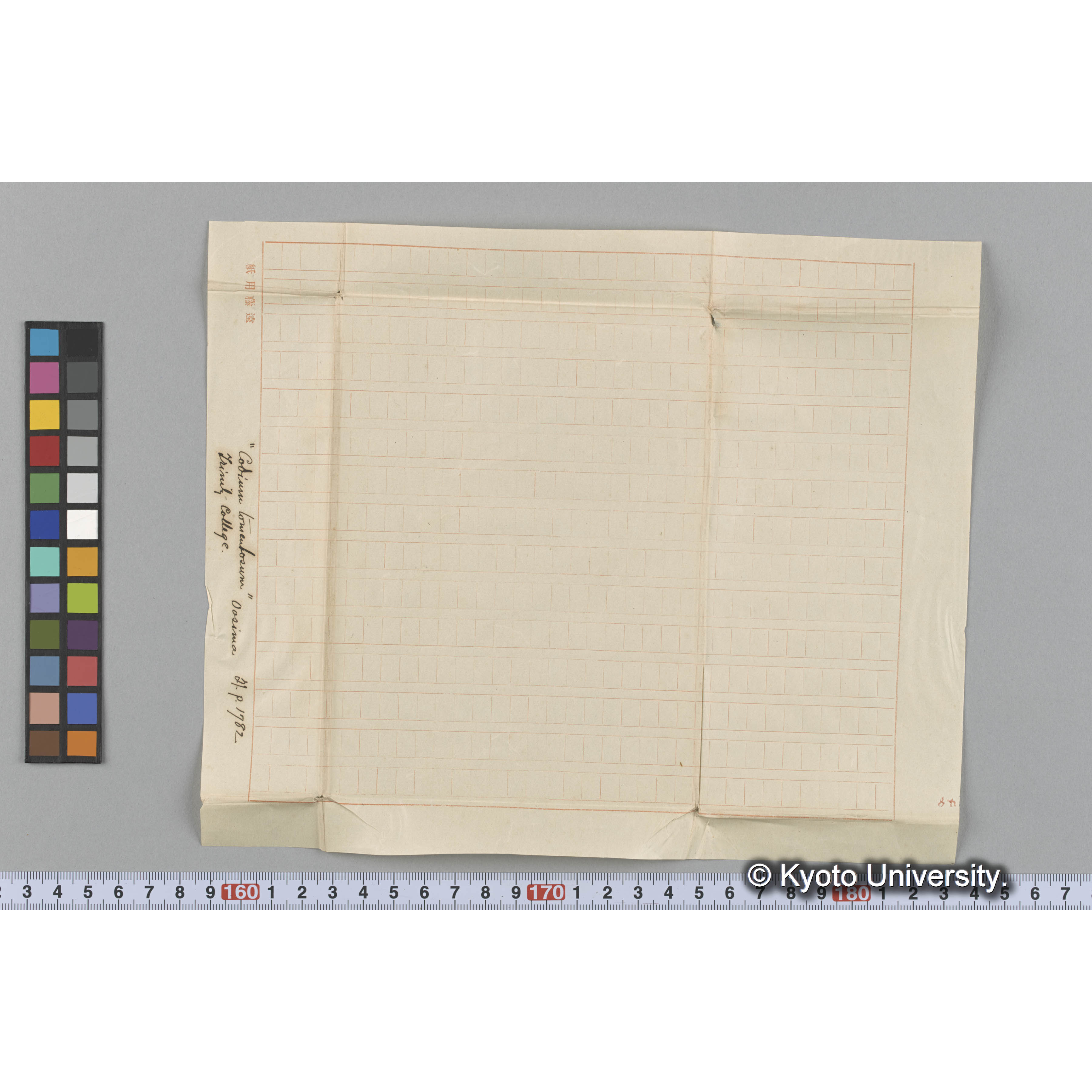 "Codium tomentosum" / Oosima / 外. p. 1782 / Trinity College. （写真帳番号 32） (3)