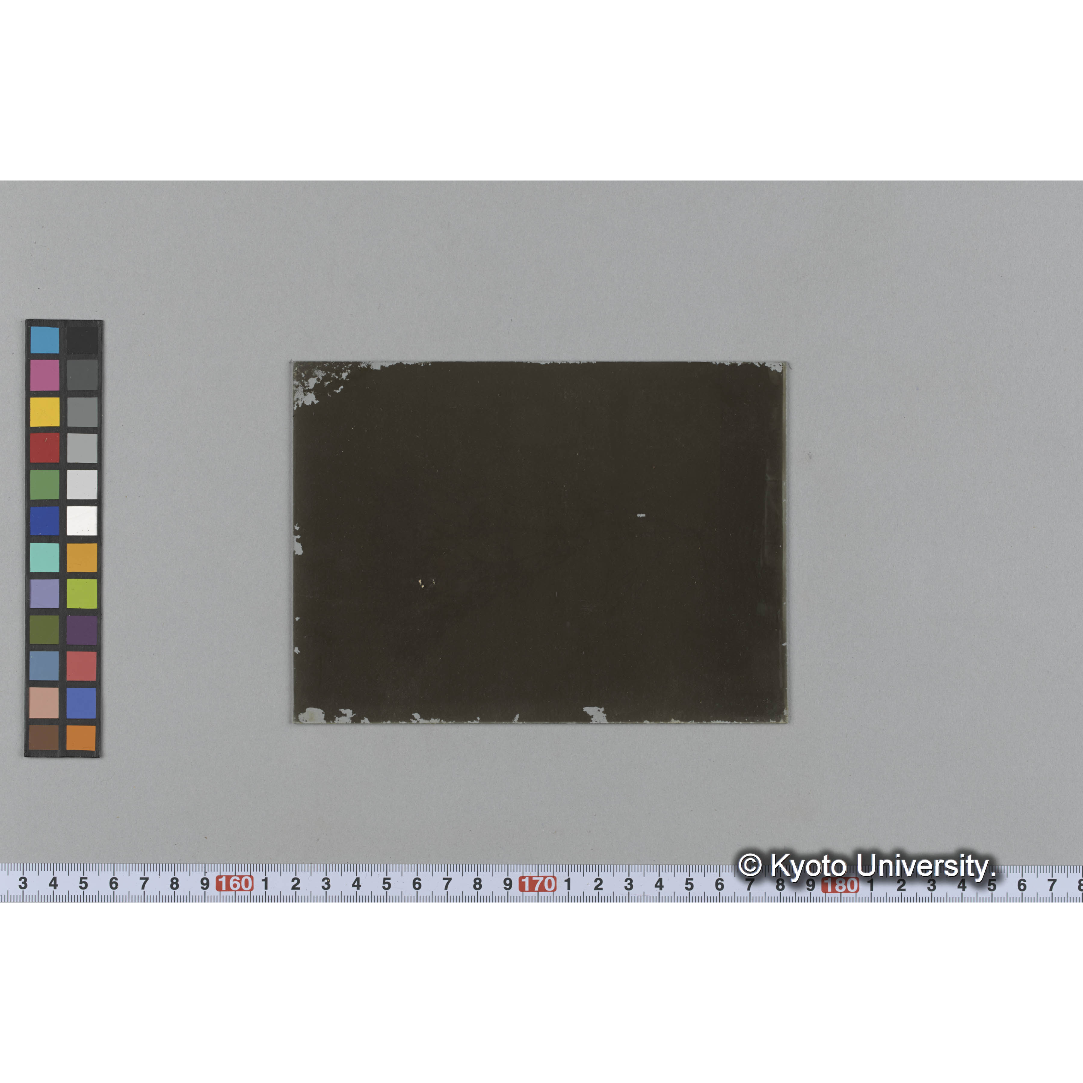 [ガラス乾板写真.](海藻標本ヵ, 書籍背表紙を写し込み「Wissenschaftliche Meeresuntersuchungen」「N. F. 1. 1896.」と見える.) (2)