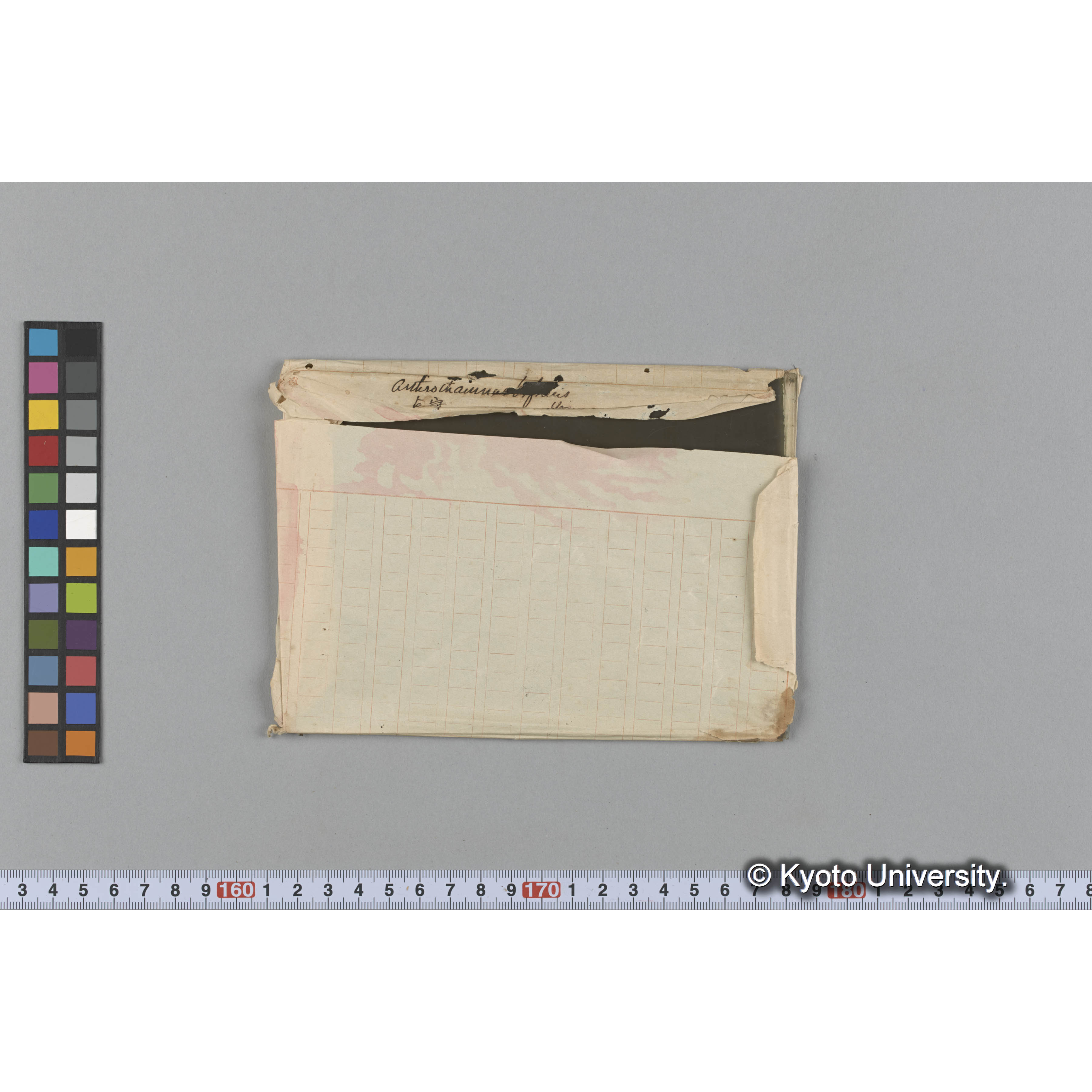 Auteroitammes(文字欠落） / 占守 (1)