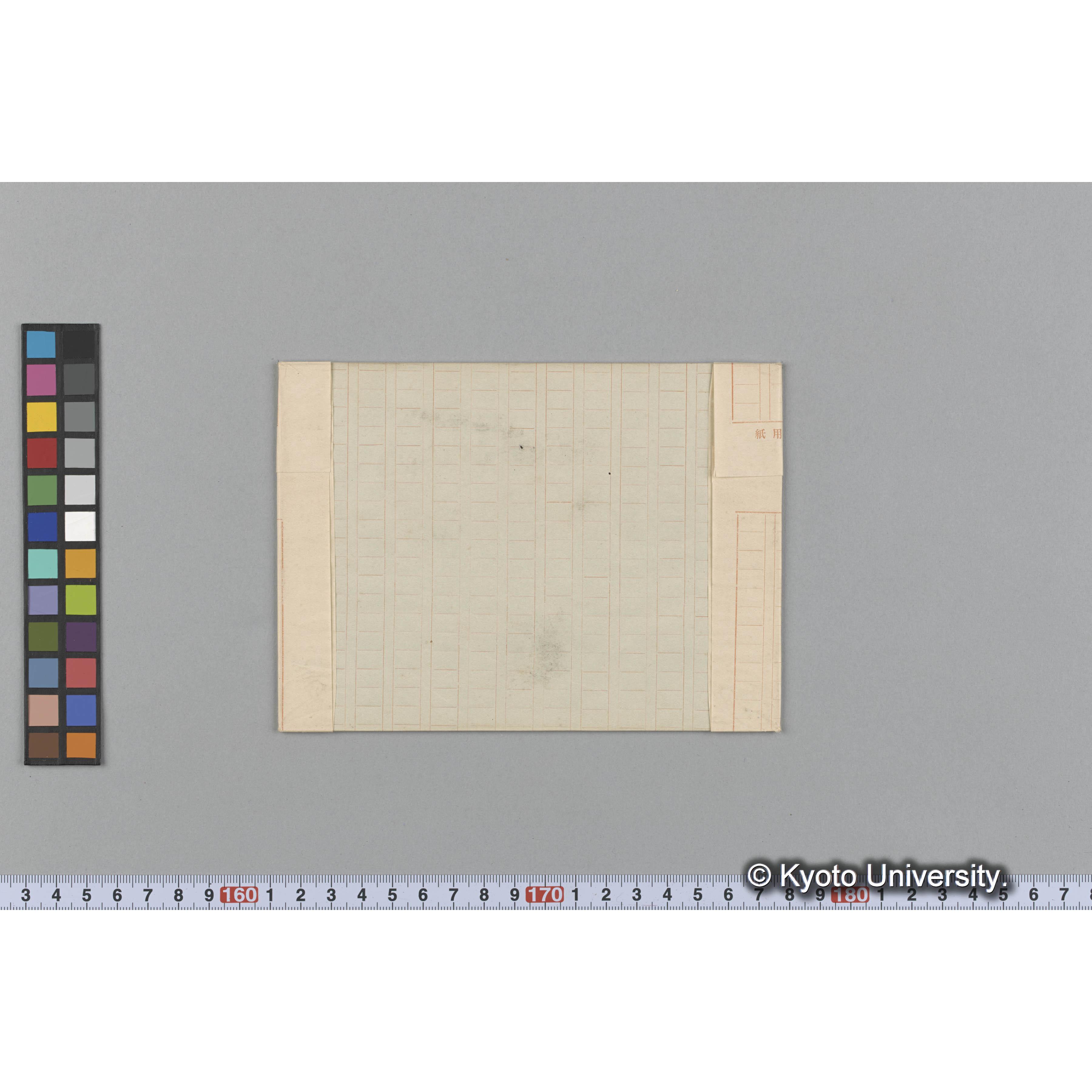 Sebdonia platycarpa / Trinity Coll. / Ceylon algae No.52 （写真帳番号 106） (2)