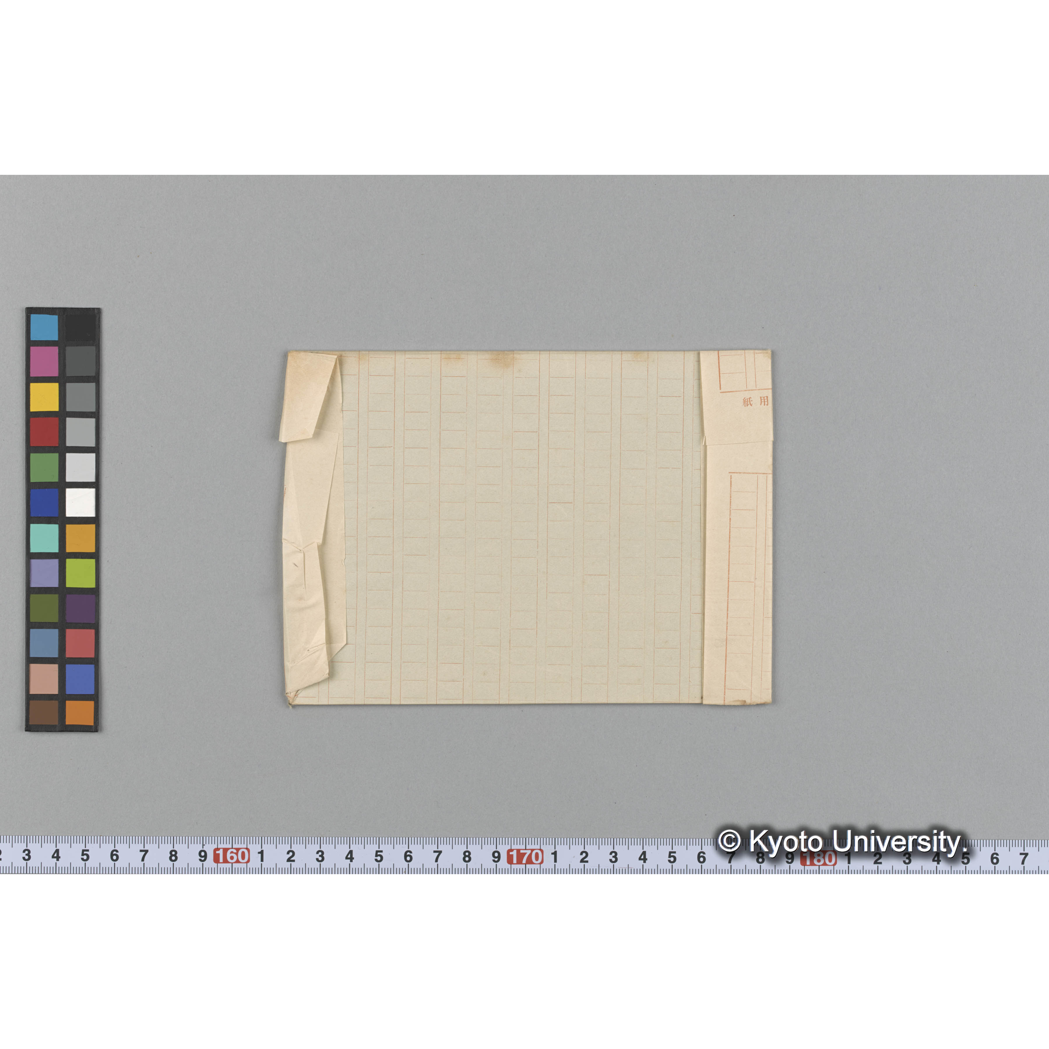 Gracilaria coronopifolia / Japan / Trinity Coll. / 外 p.1679 （写真帳番号 47） (2)