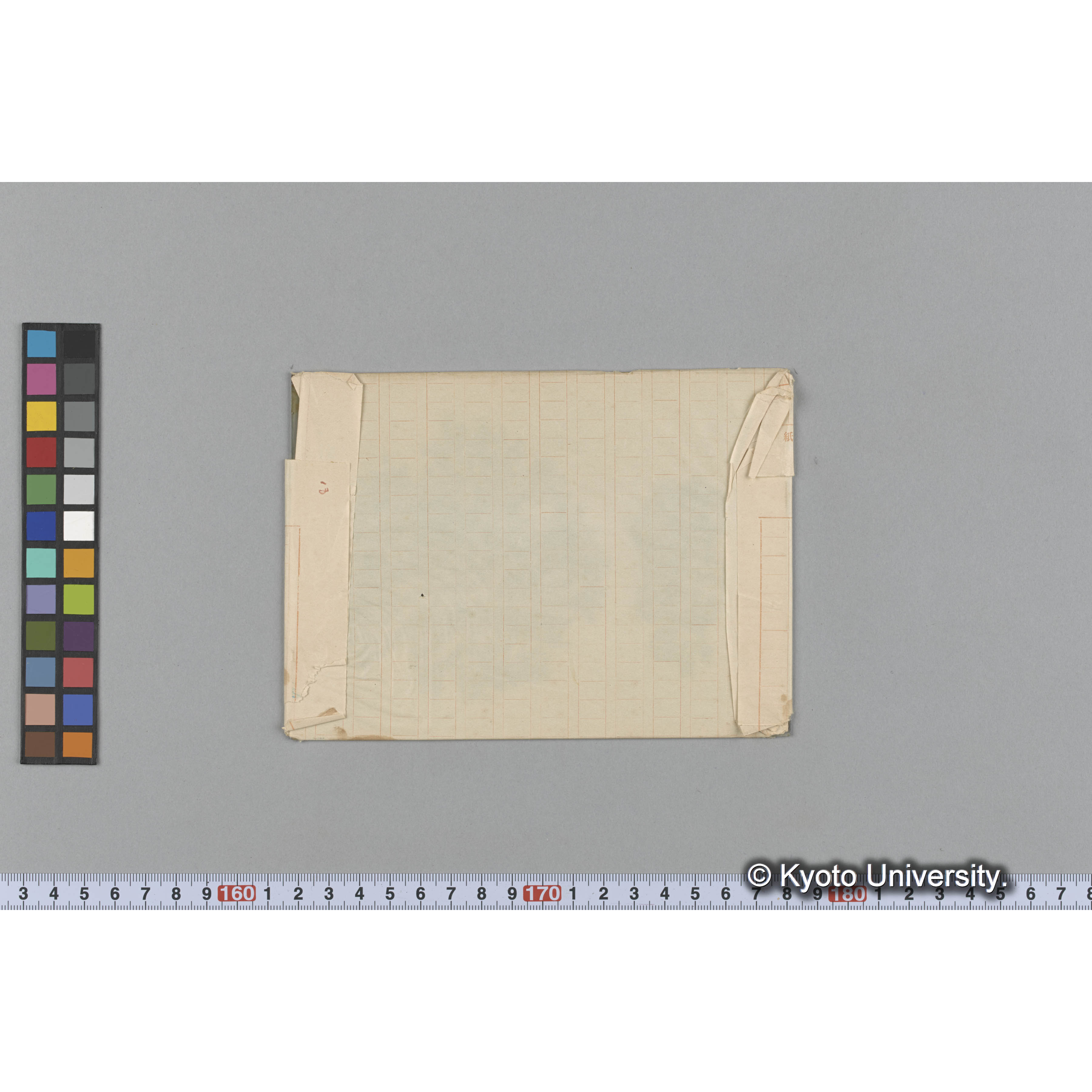 Corallina vancouveriensis / Port Renfrew (2)