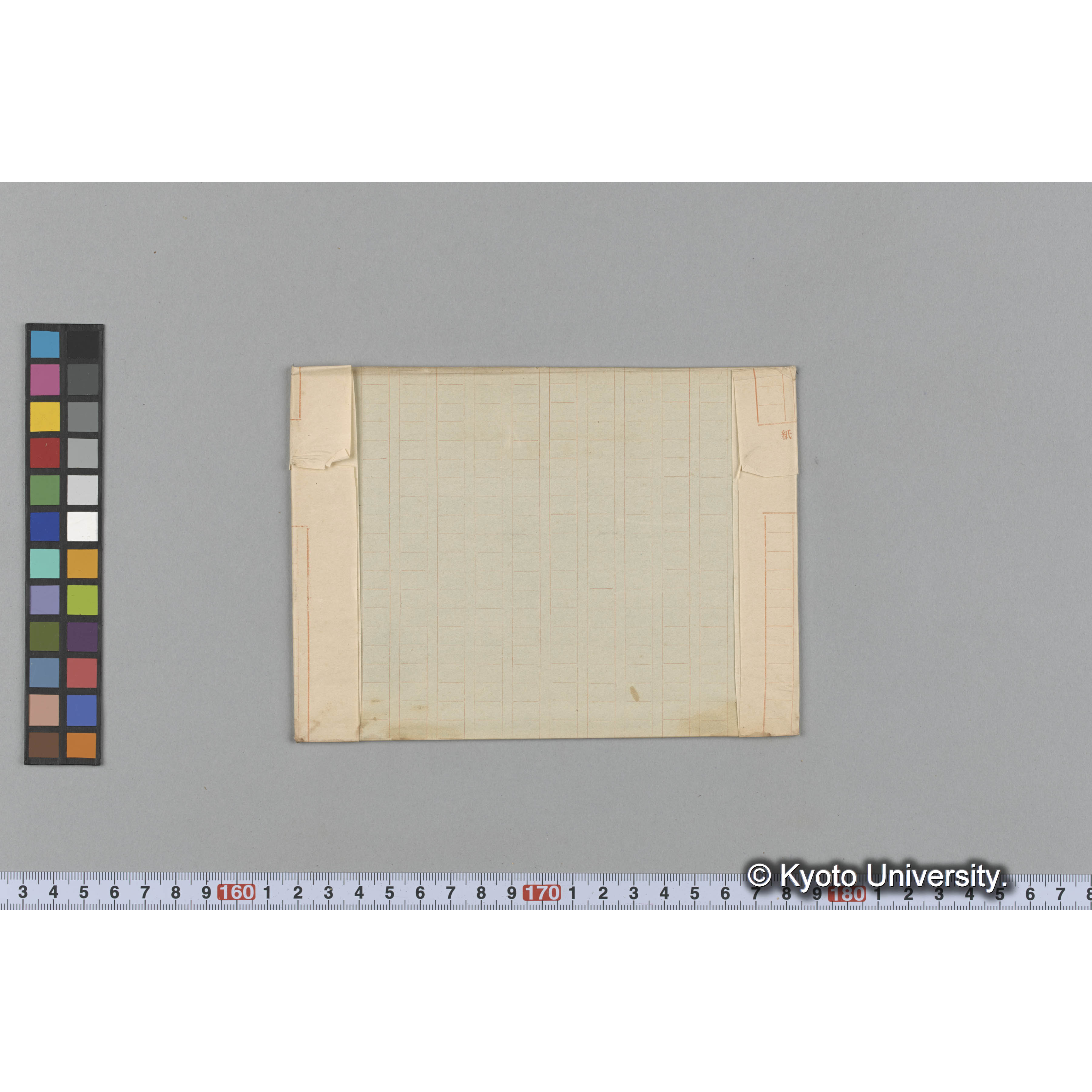 Laminaria augusta / 日高 / 採取 (2)