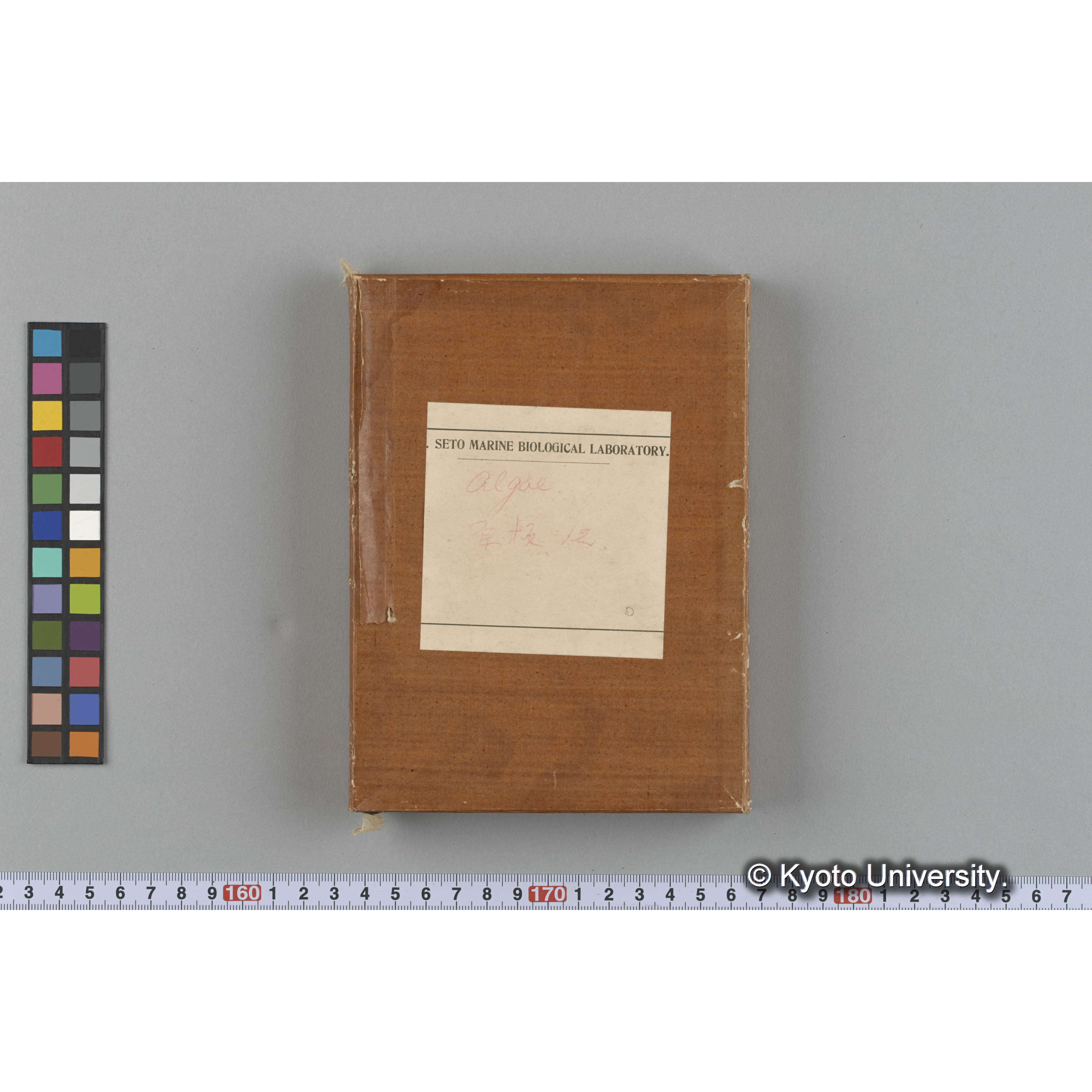 [ガラス乾板収納箱1.]algae 原板 12 (1)