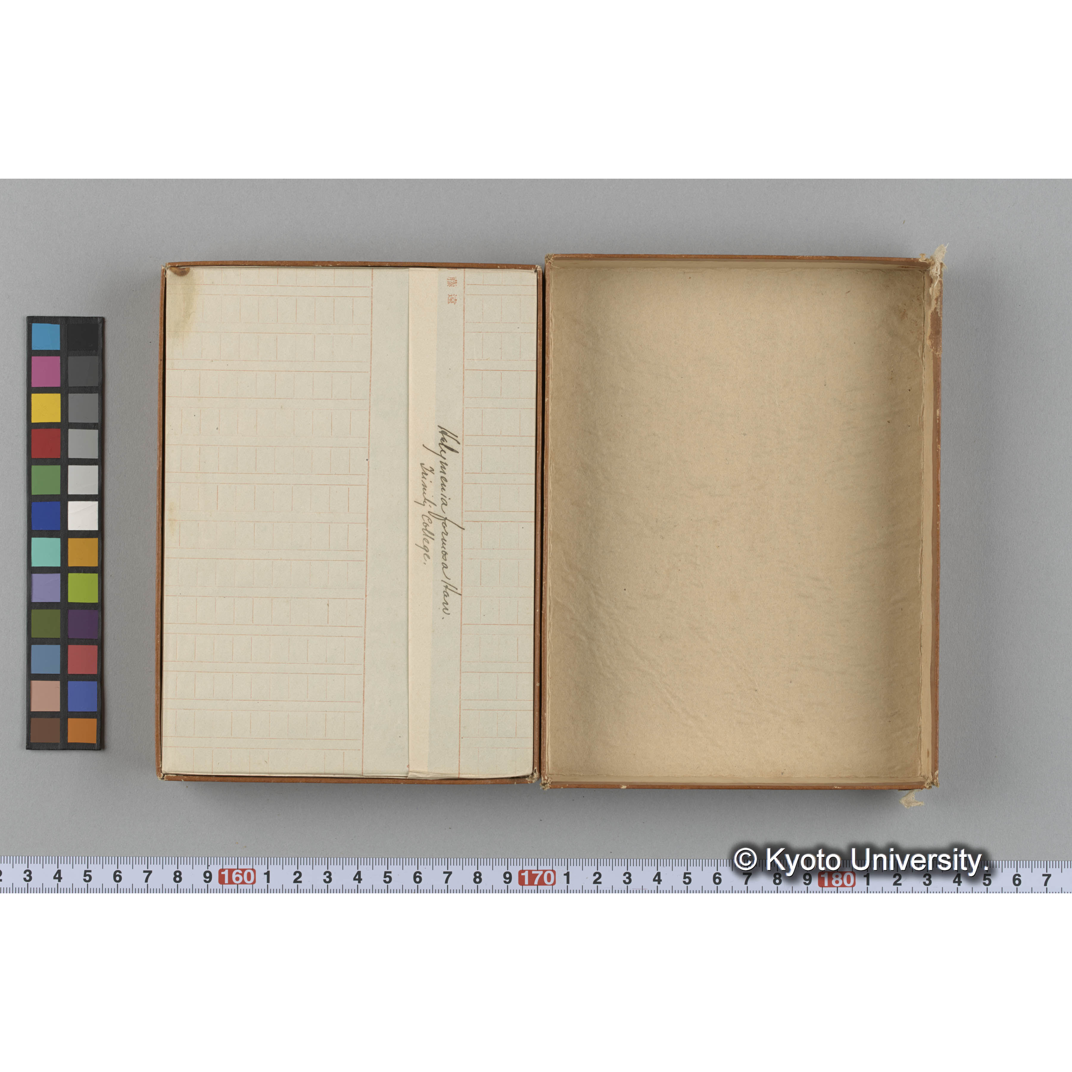 [ガラス乾板収納箱1.]algae 原板 12 (2)