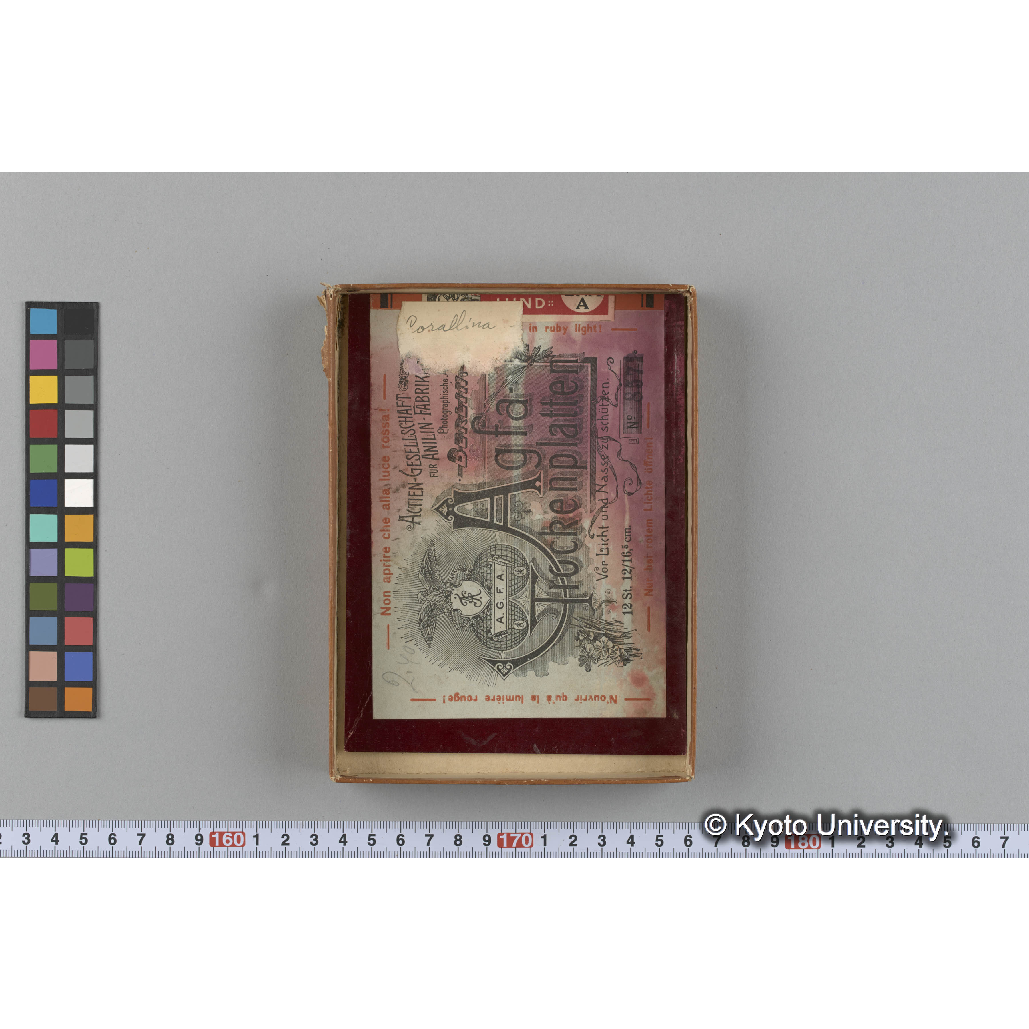 [ガラス乾板収納箱1.]algae 原板 12 (3)