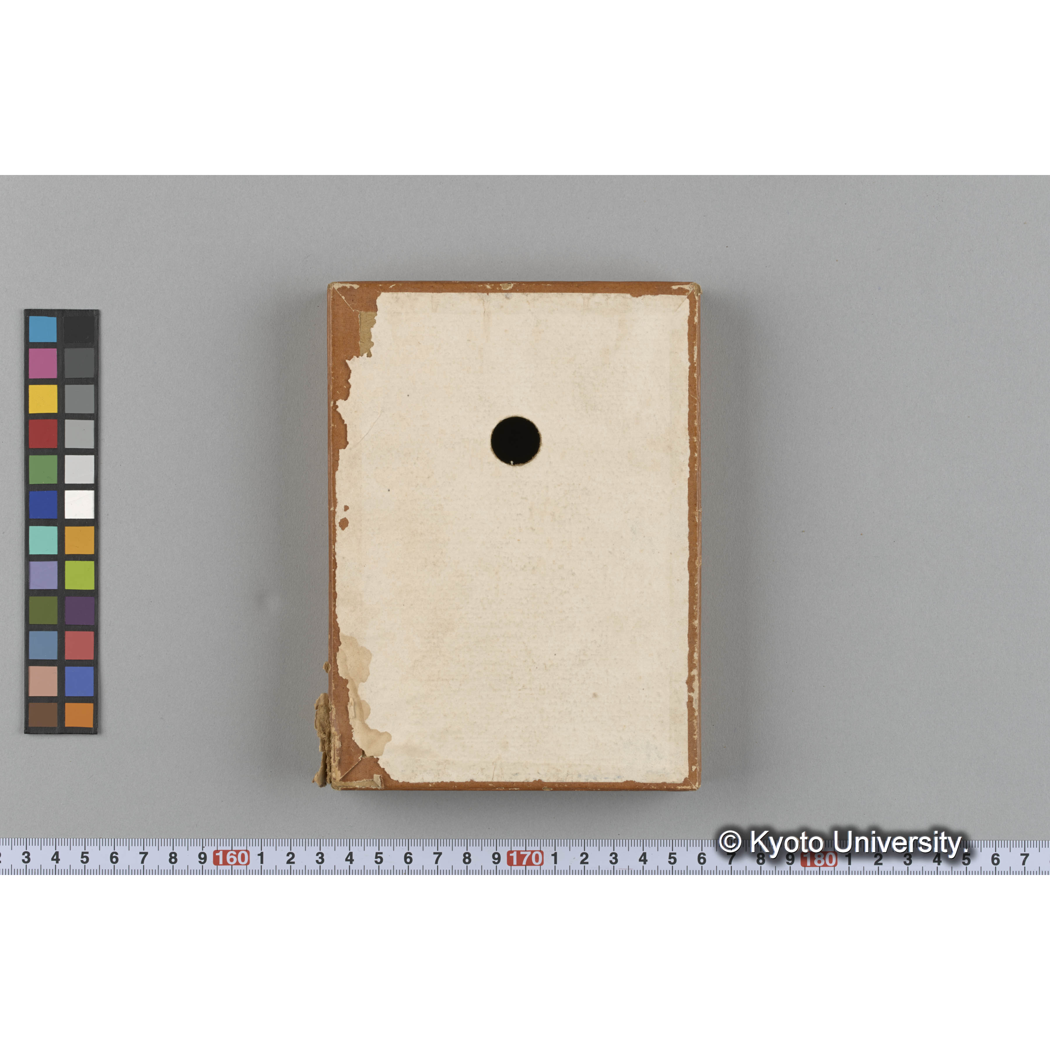 [ガラス乾板収納箱1.]algae 原板 12 (5)