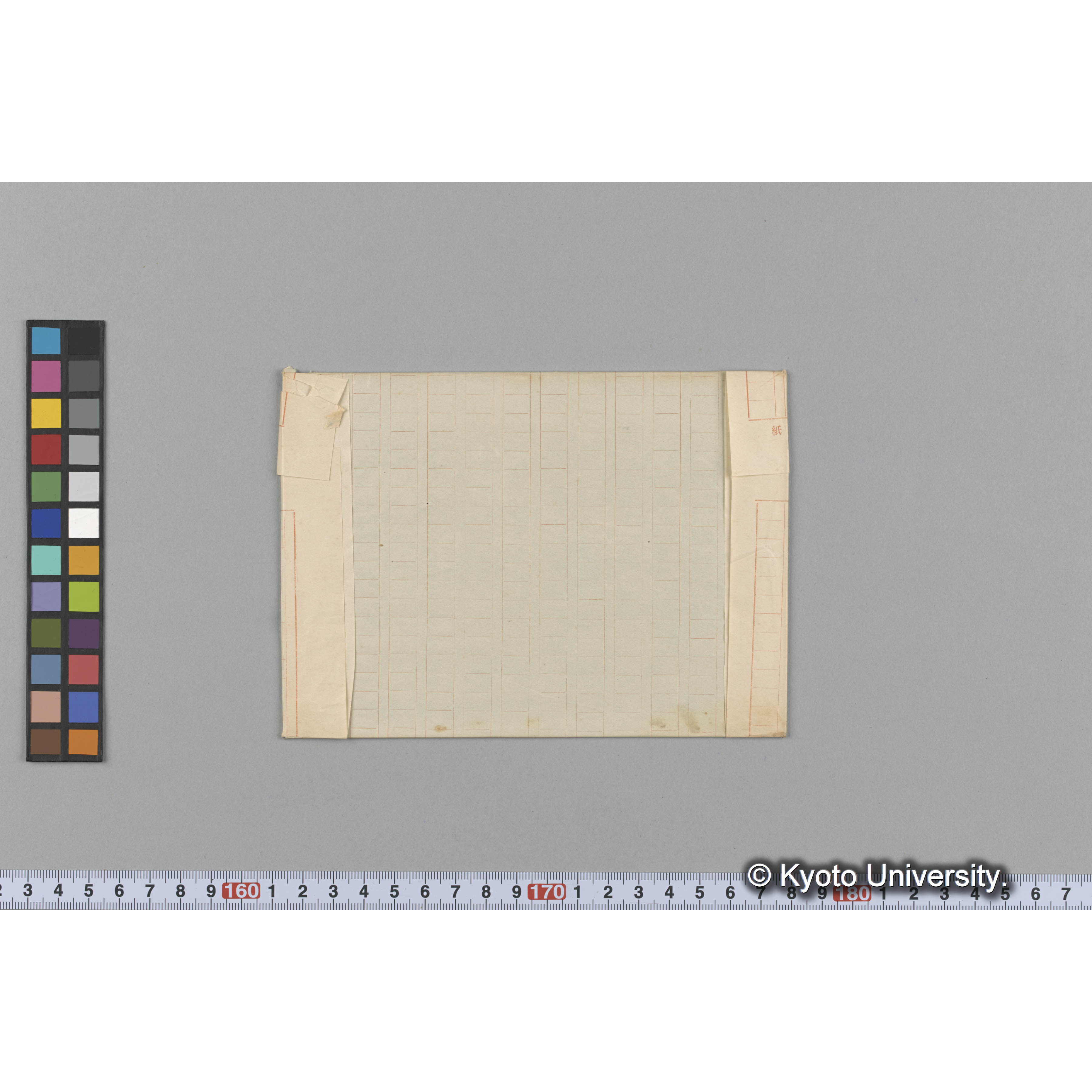 Gracilaria curtissiana J. Ag. / Herb. J. Ag. （写真帳番号 48） (2)