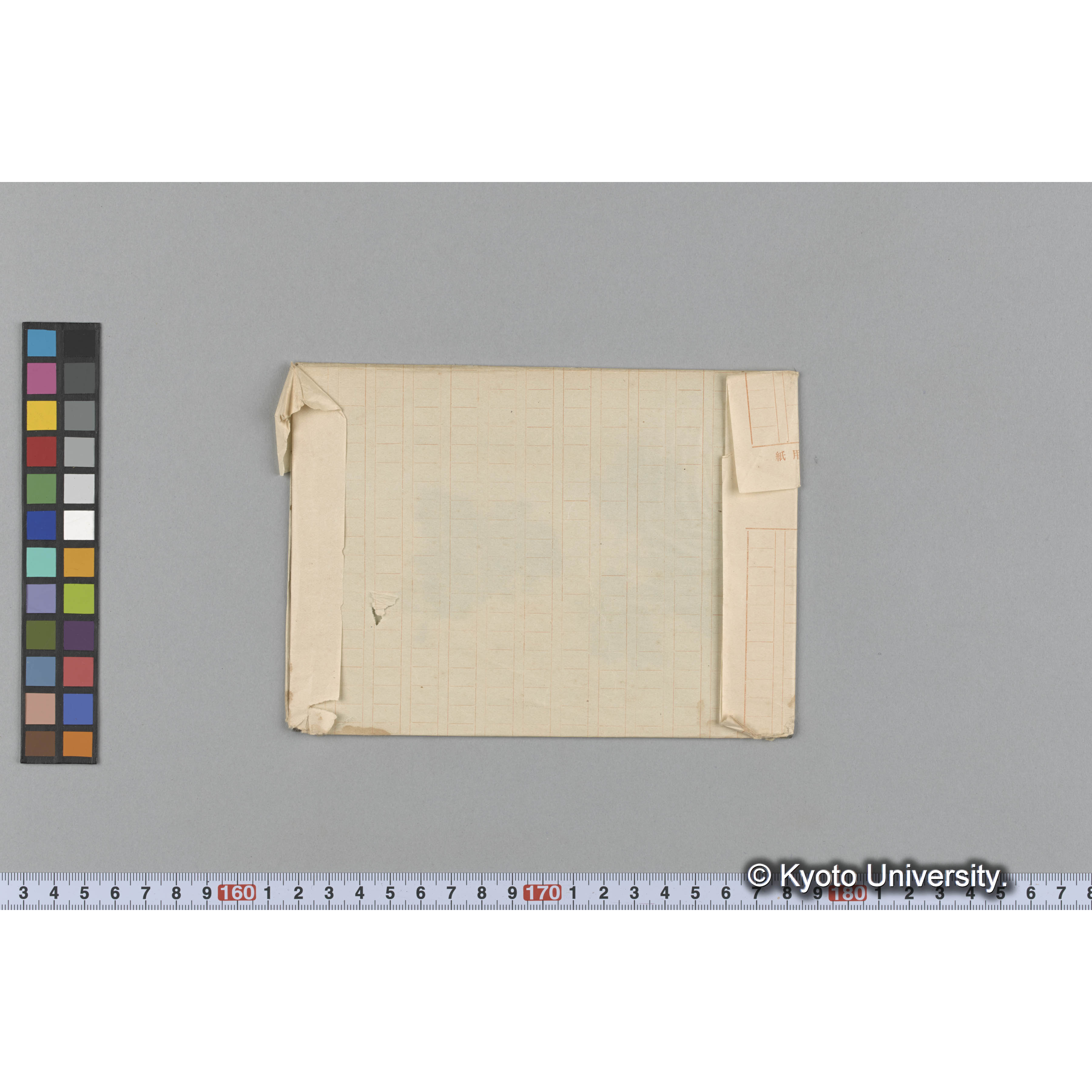 Cheilosporum frondesceus Yendo / Port Renfrew (2)