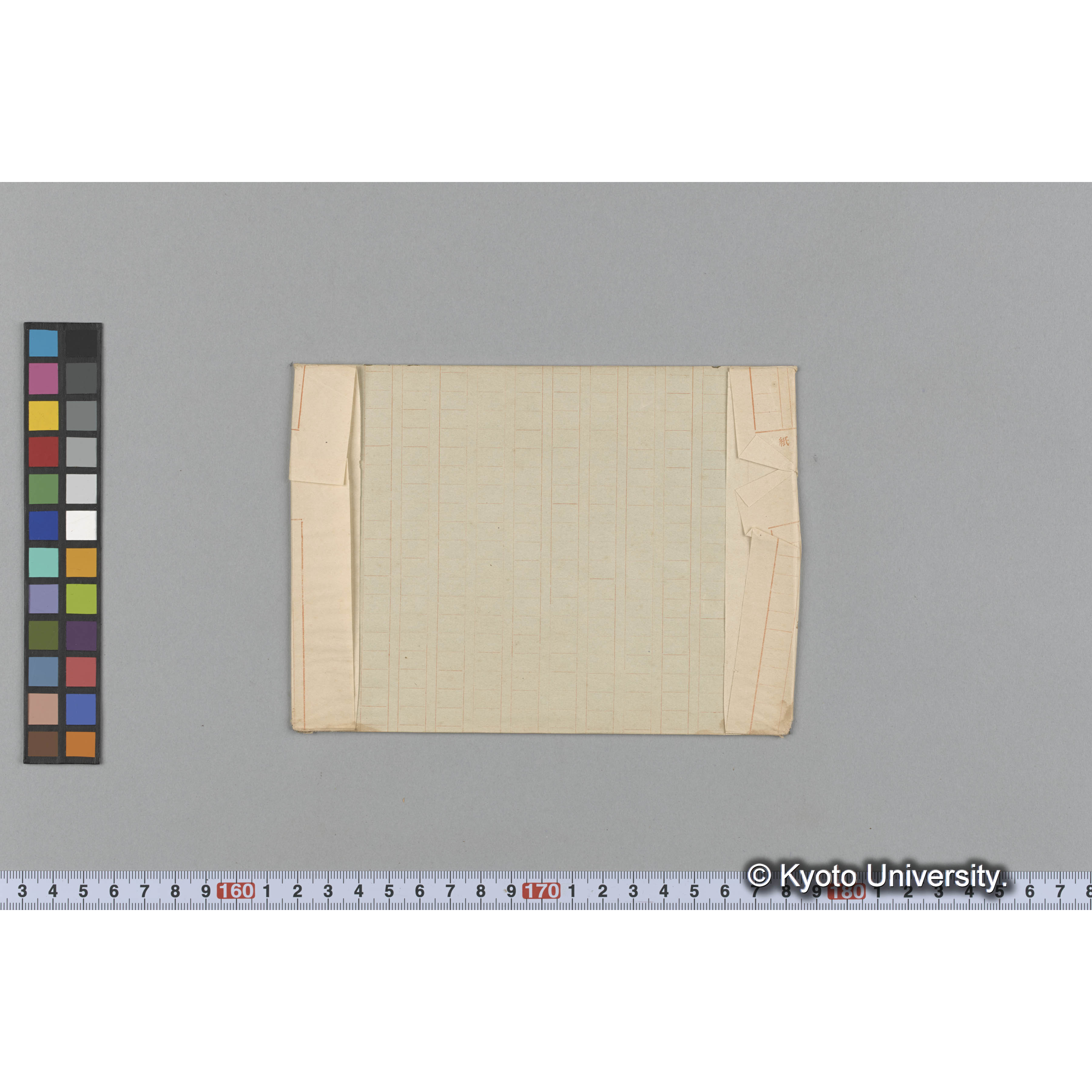 Ecklonia cava / 志摩 (2)