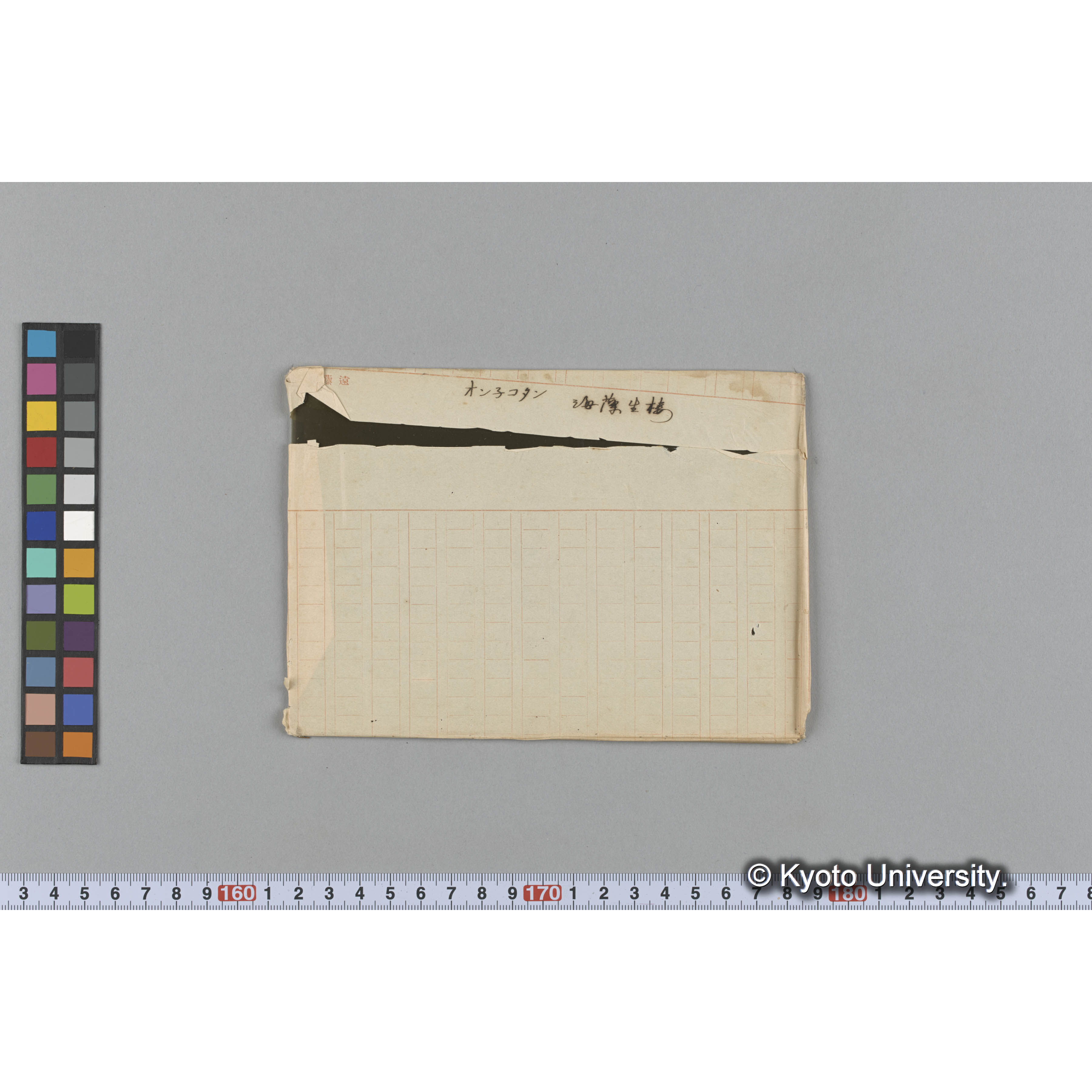 オン子コタン / 海藻生棲 (1)