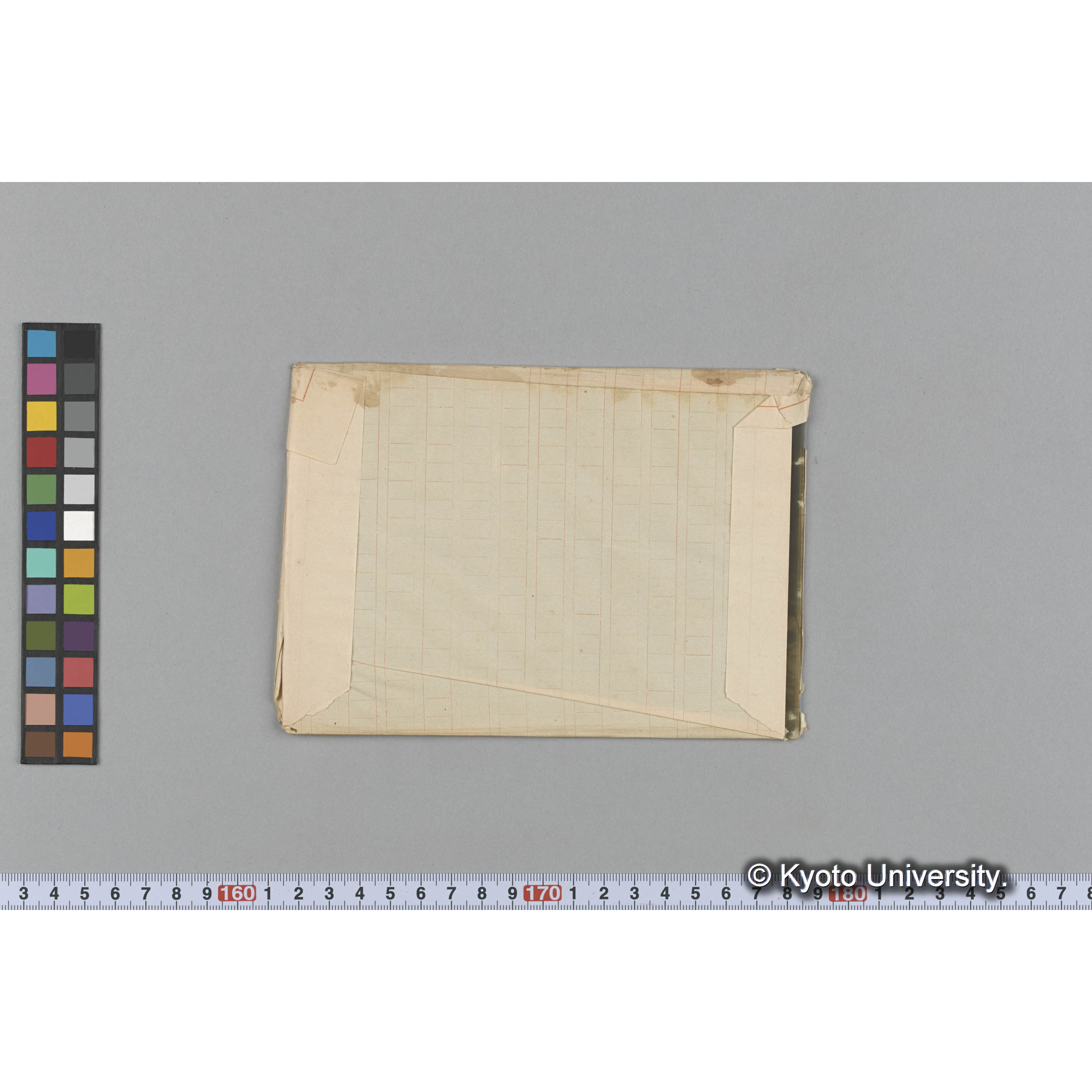 オン子コタン / 海藻生棲 (2)