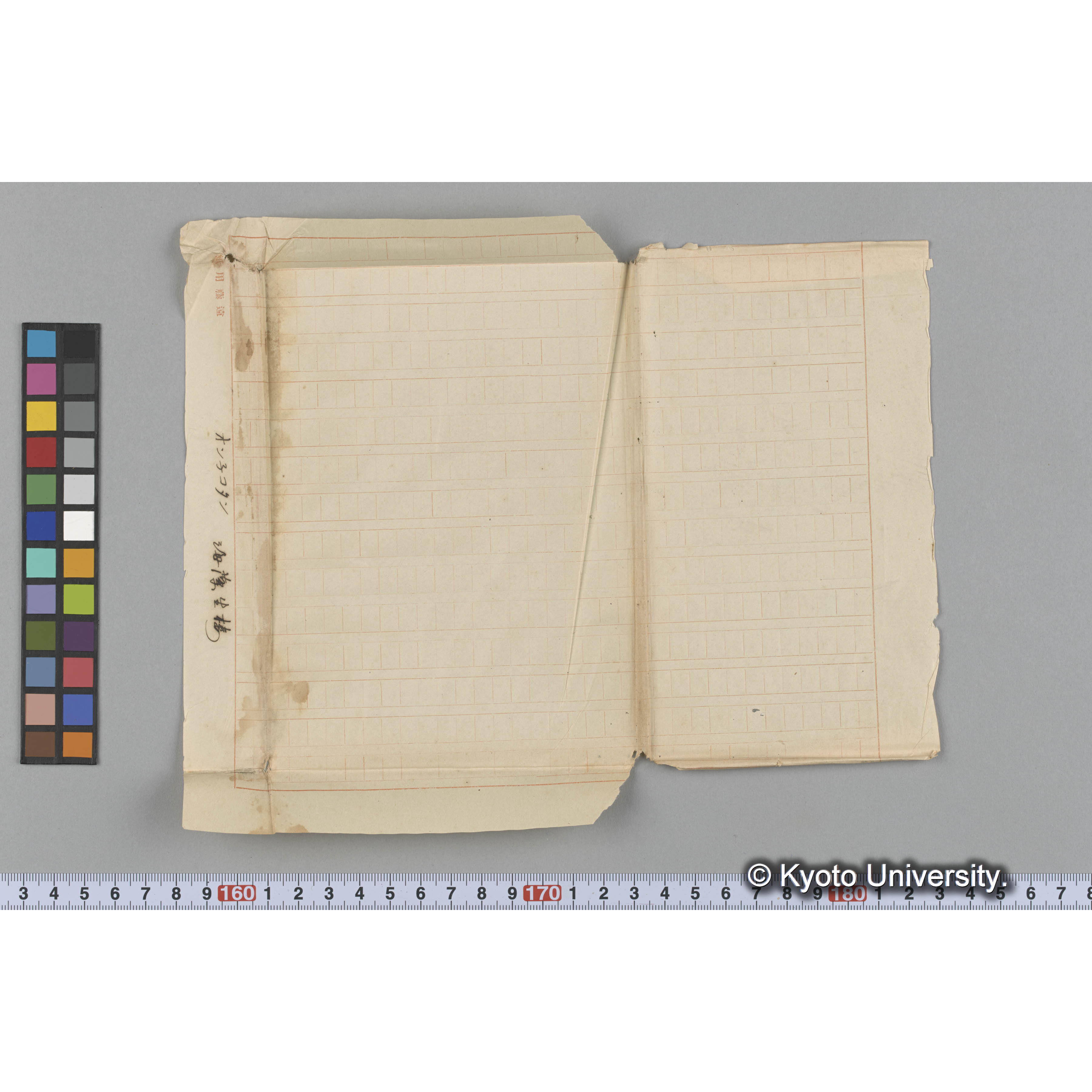 オン子コタン / 海藻生棲 (3)