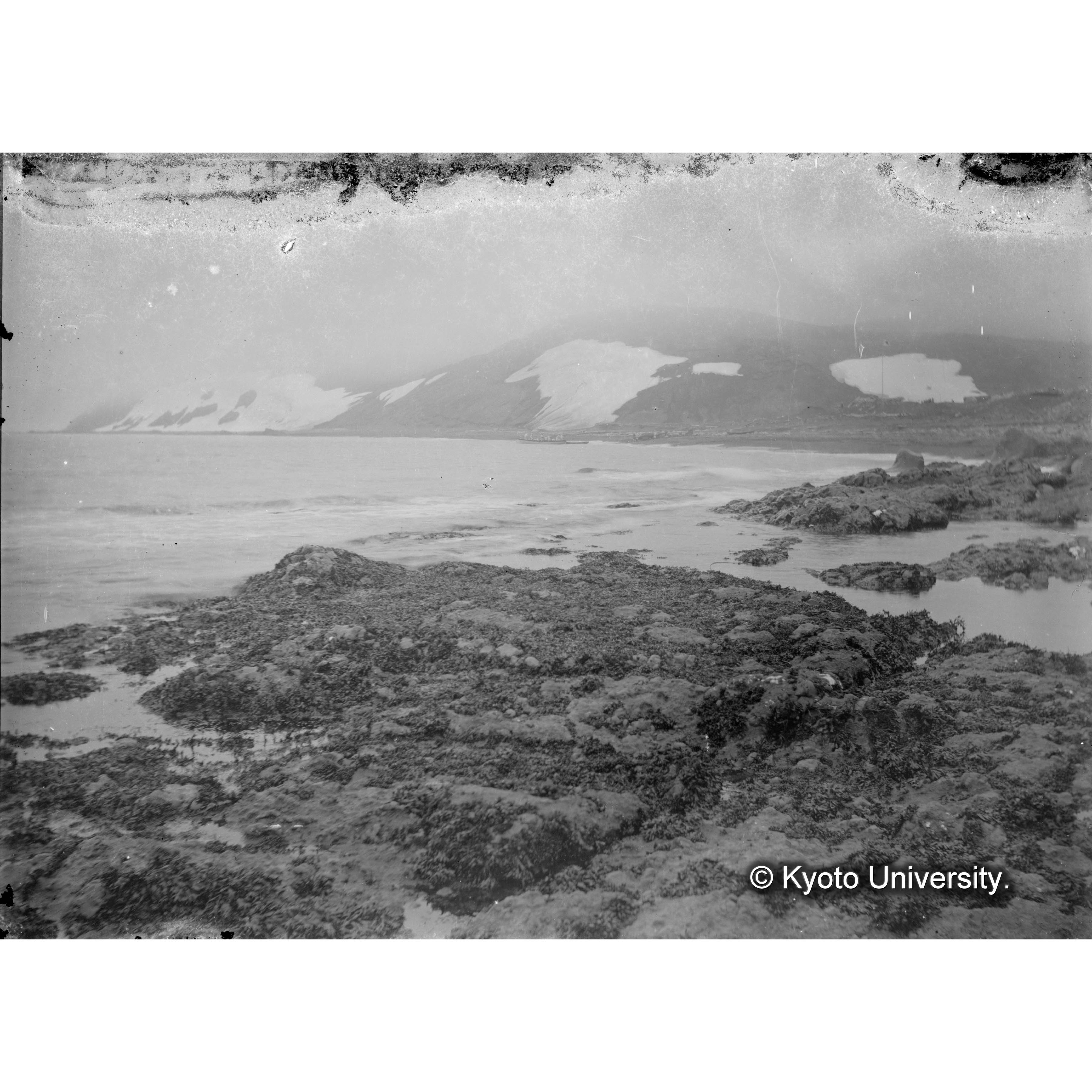 オン子コタン / 海藻生棲 (4)