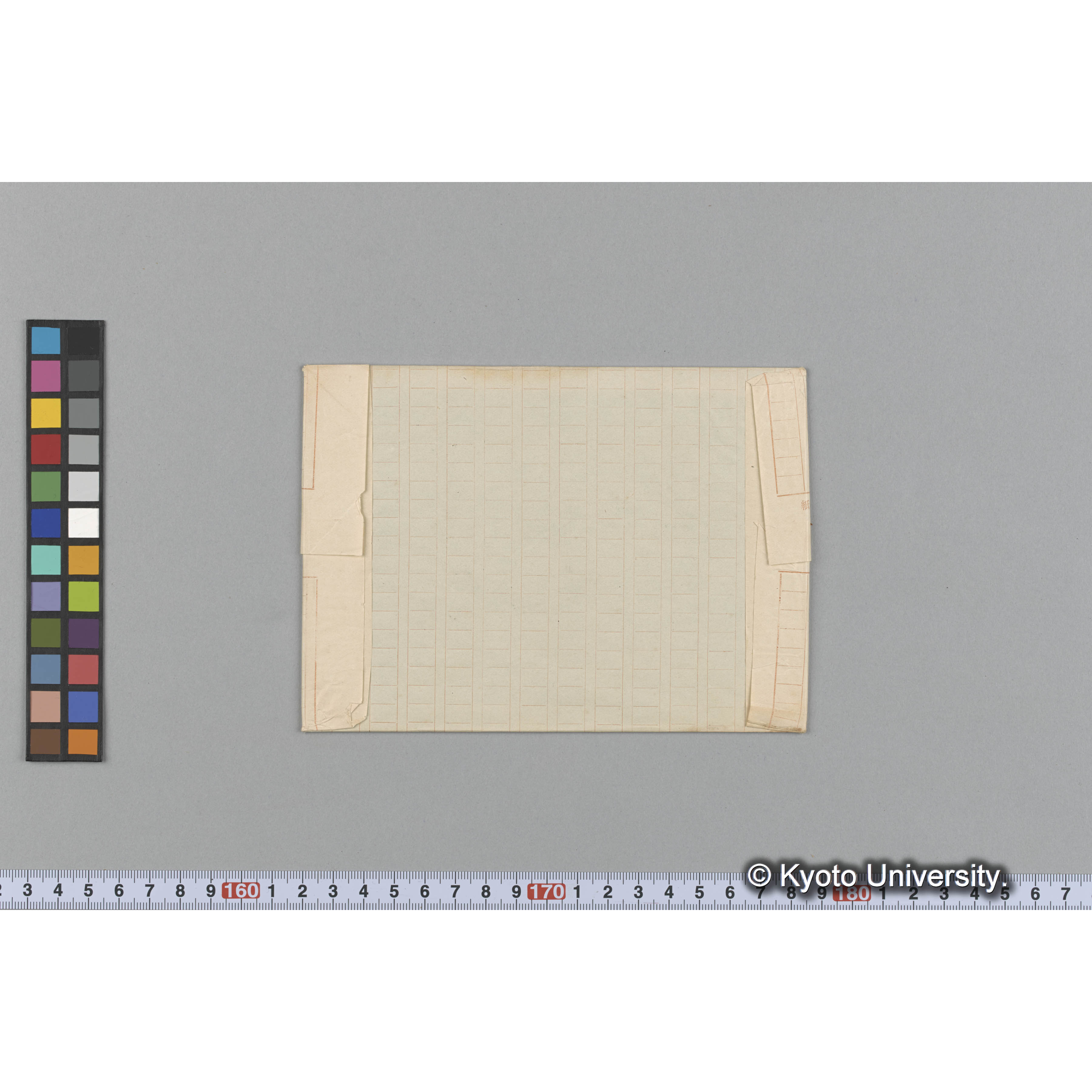 Grateloupia undulata / Herb. J. Ag. 22798. （写真帳番号 55） (2)