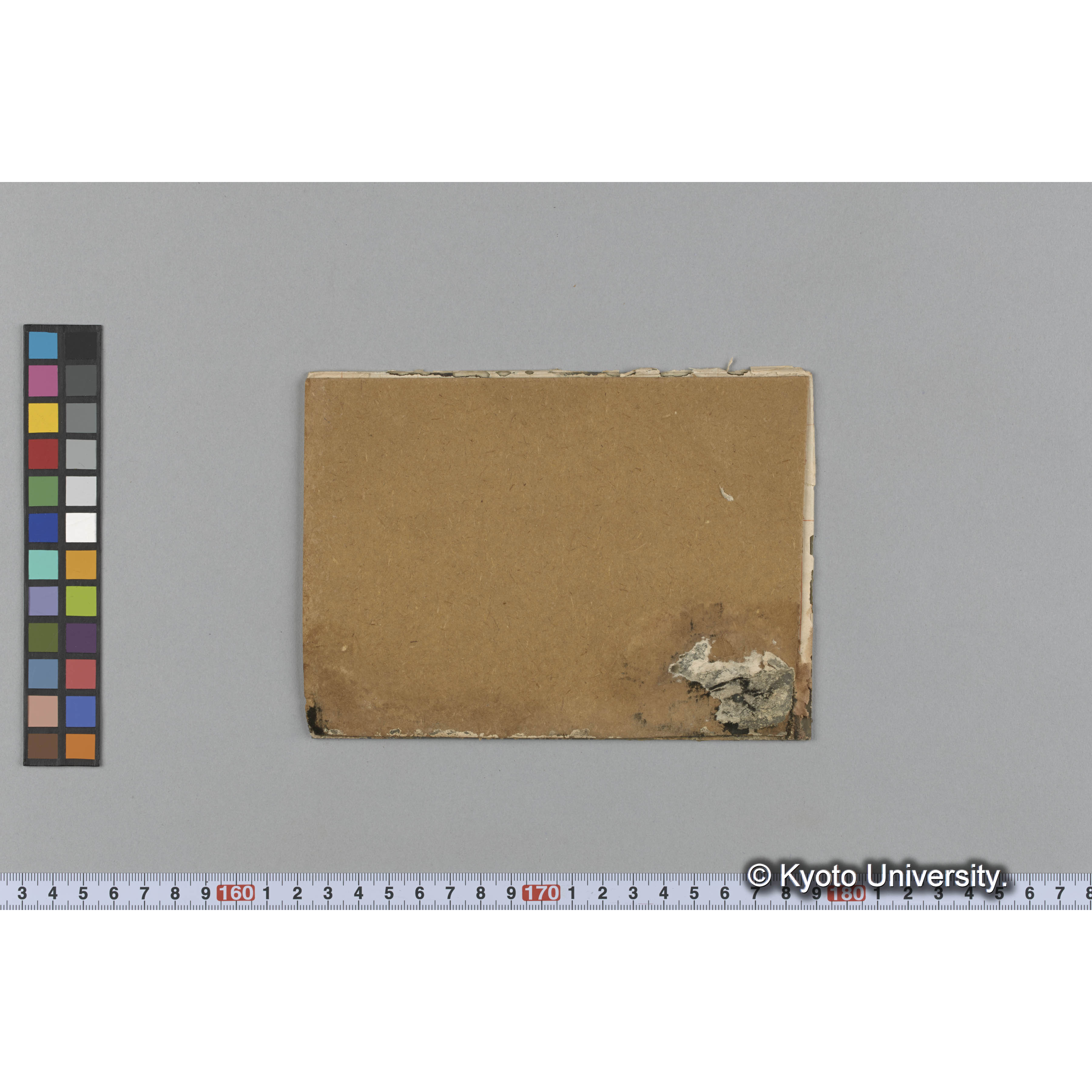 Monostroma / Muroran / April 1917 (2)