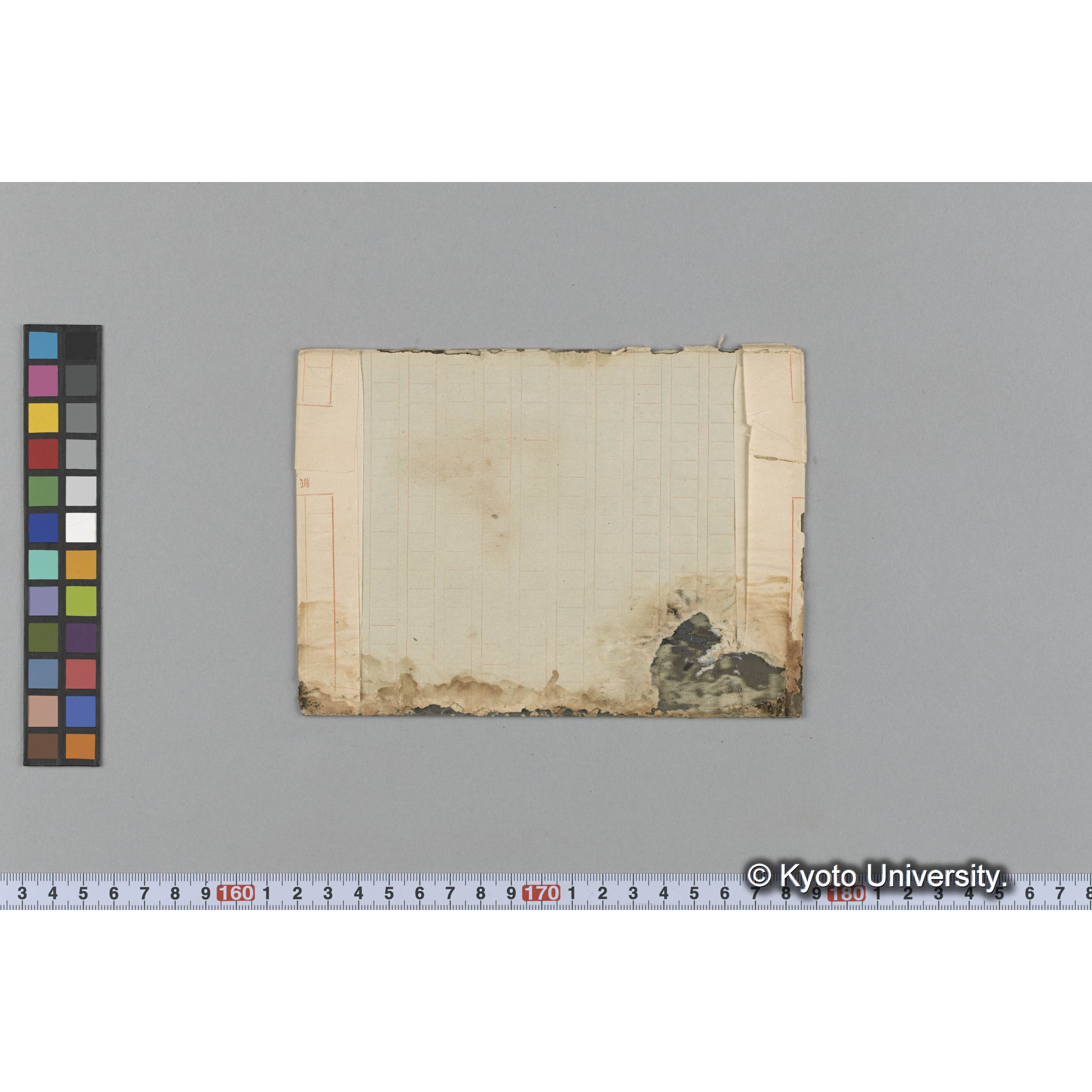 Monostroma / Muroran / April 1917 (3)