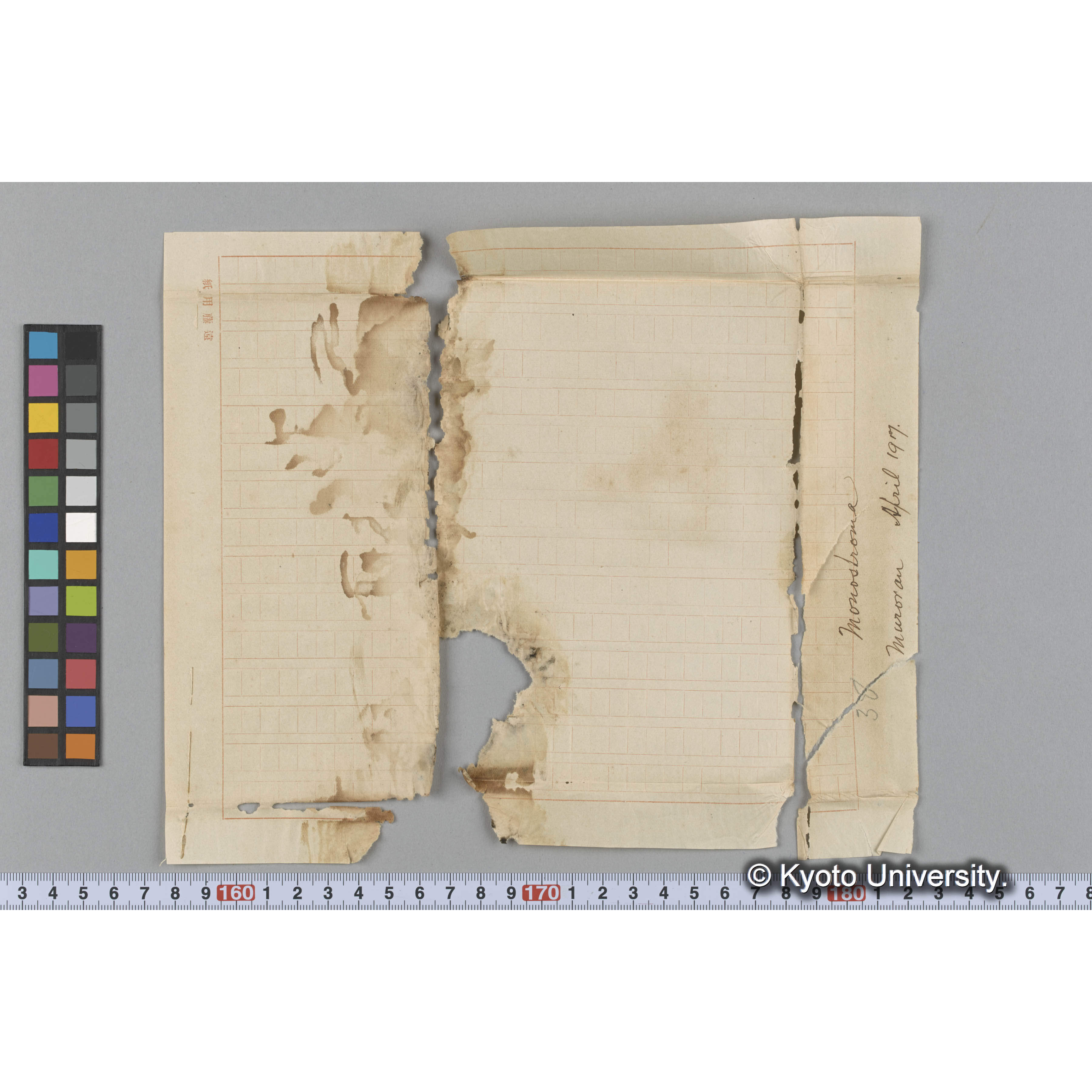 Monostroma / Muroran / April 1917 (4)