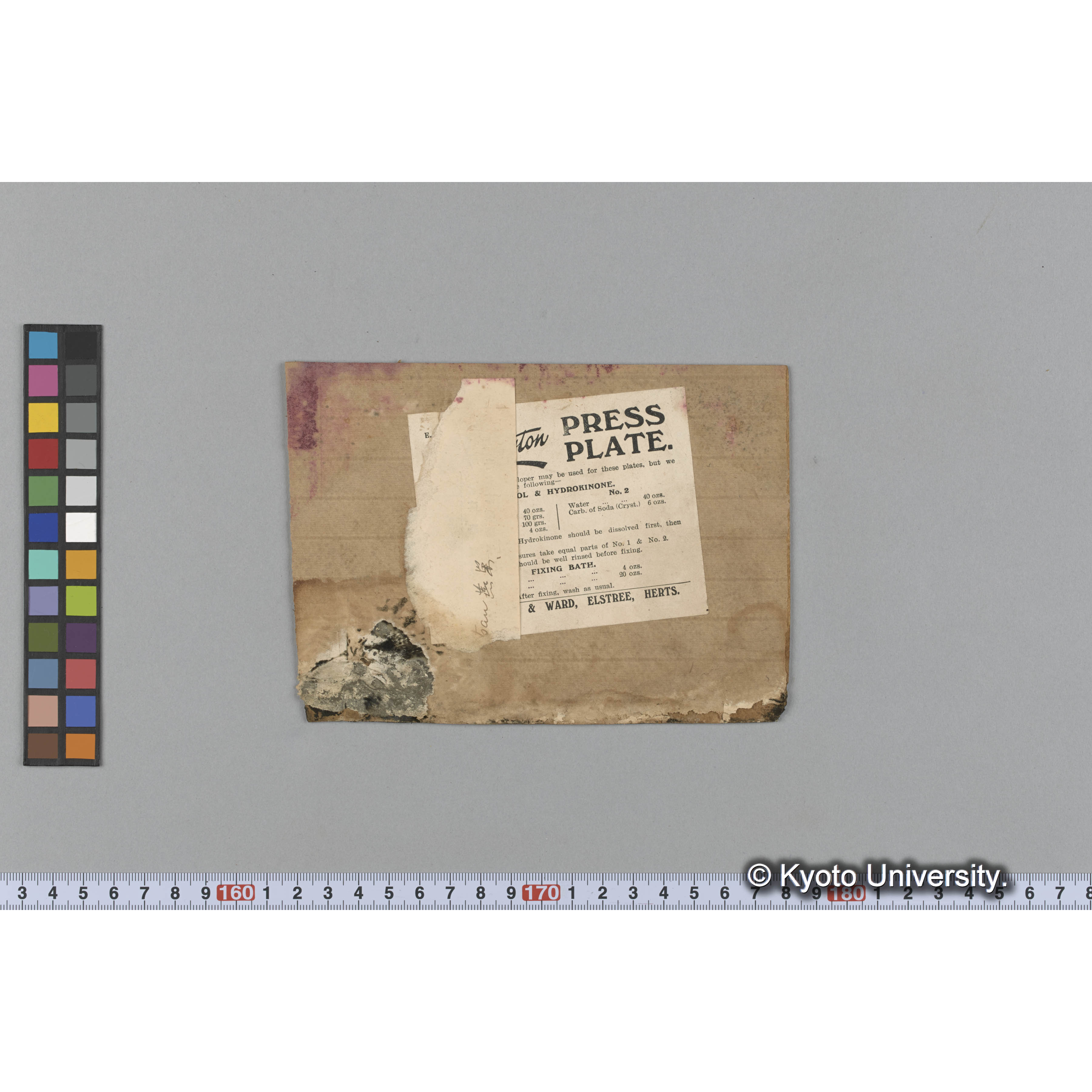 Monostroma / Muroran / April 1917 (5)