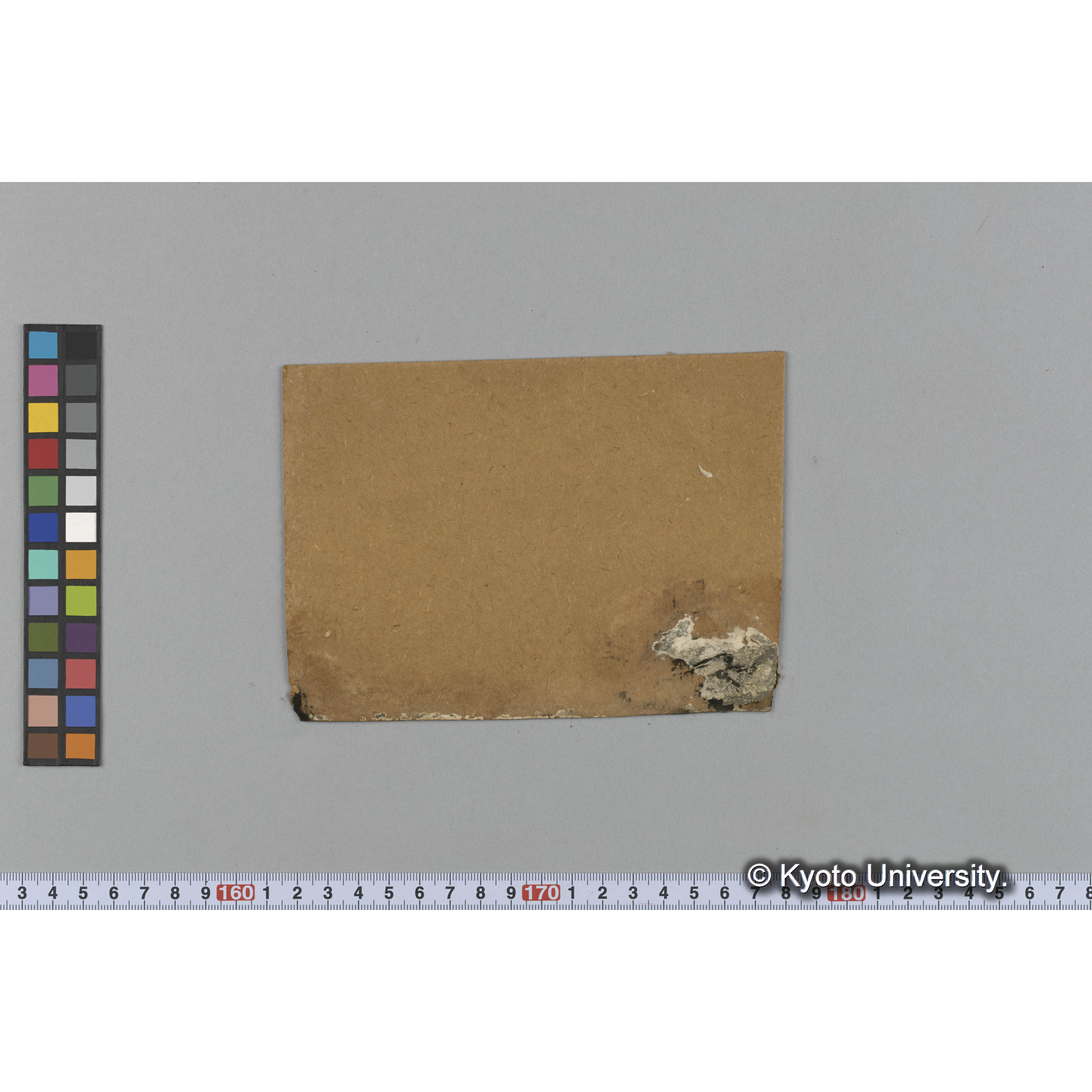 Monostroma / Muroran / April 1917 (6)