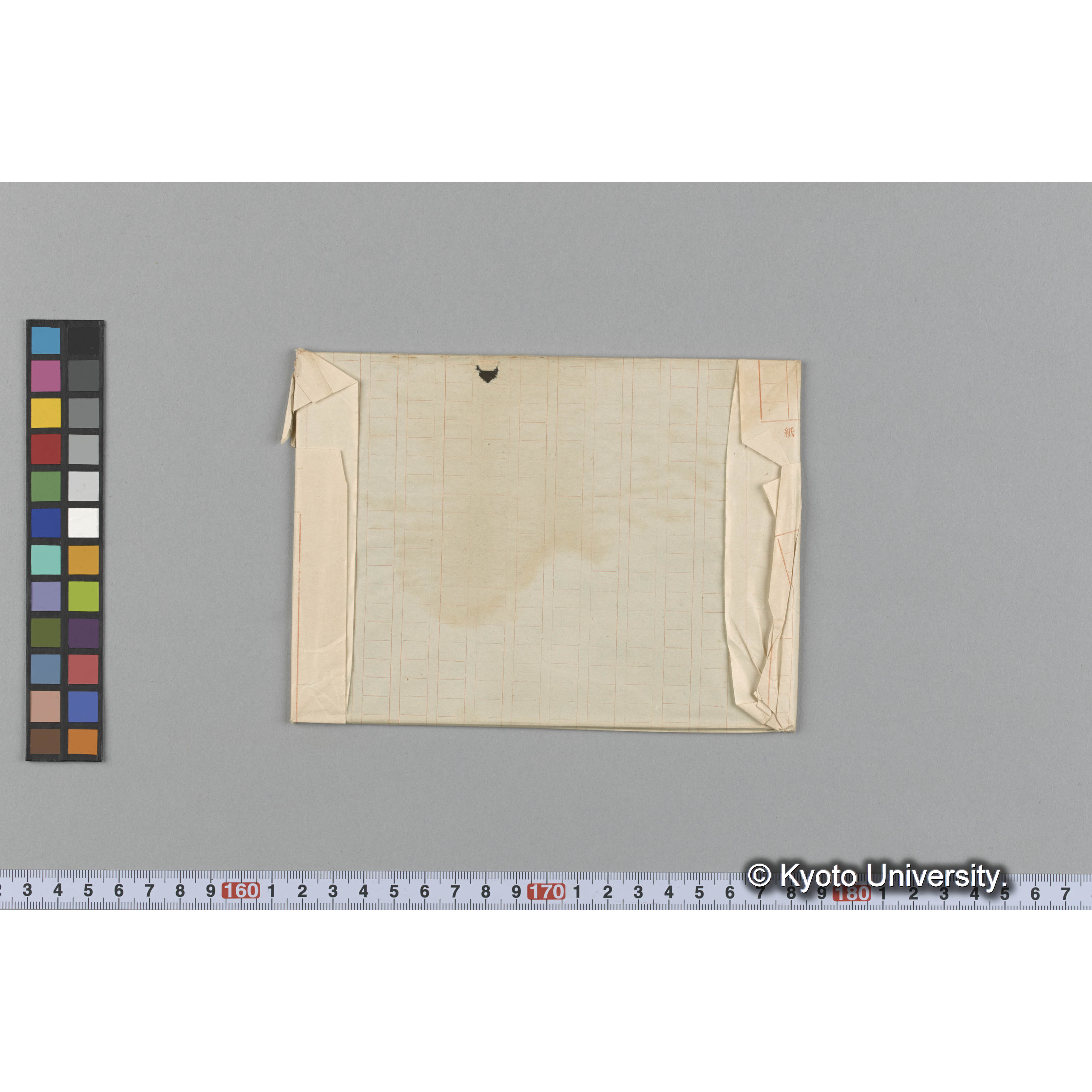 Halocoelia Wrightii / Trinity College. / Hakodate （写真帳番号 57） (2)